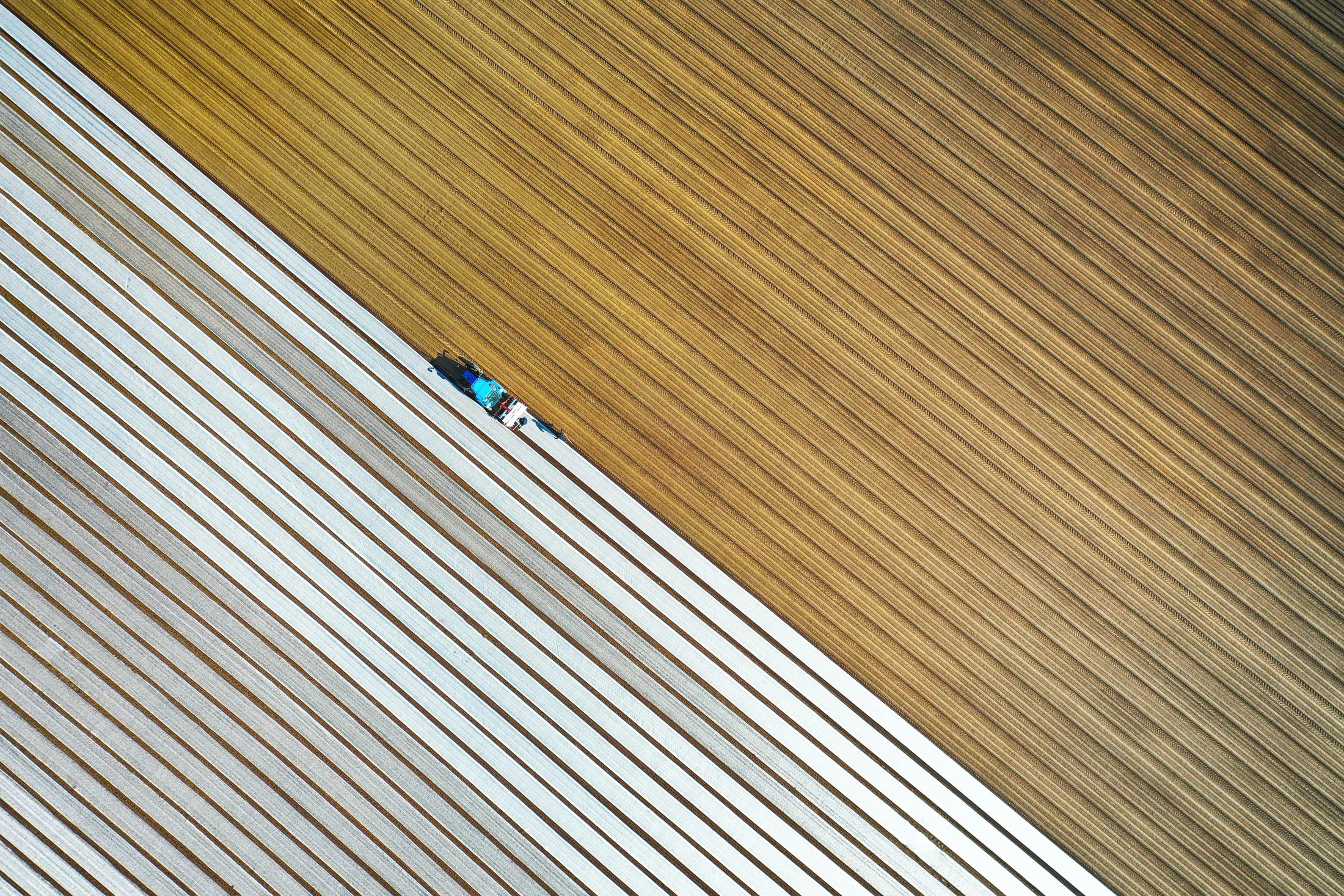 Crop covering