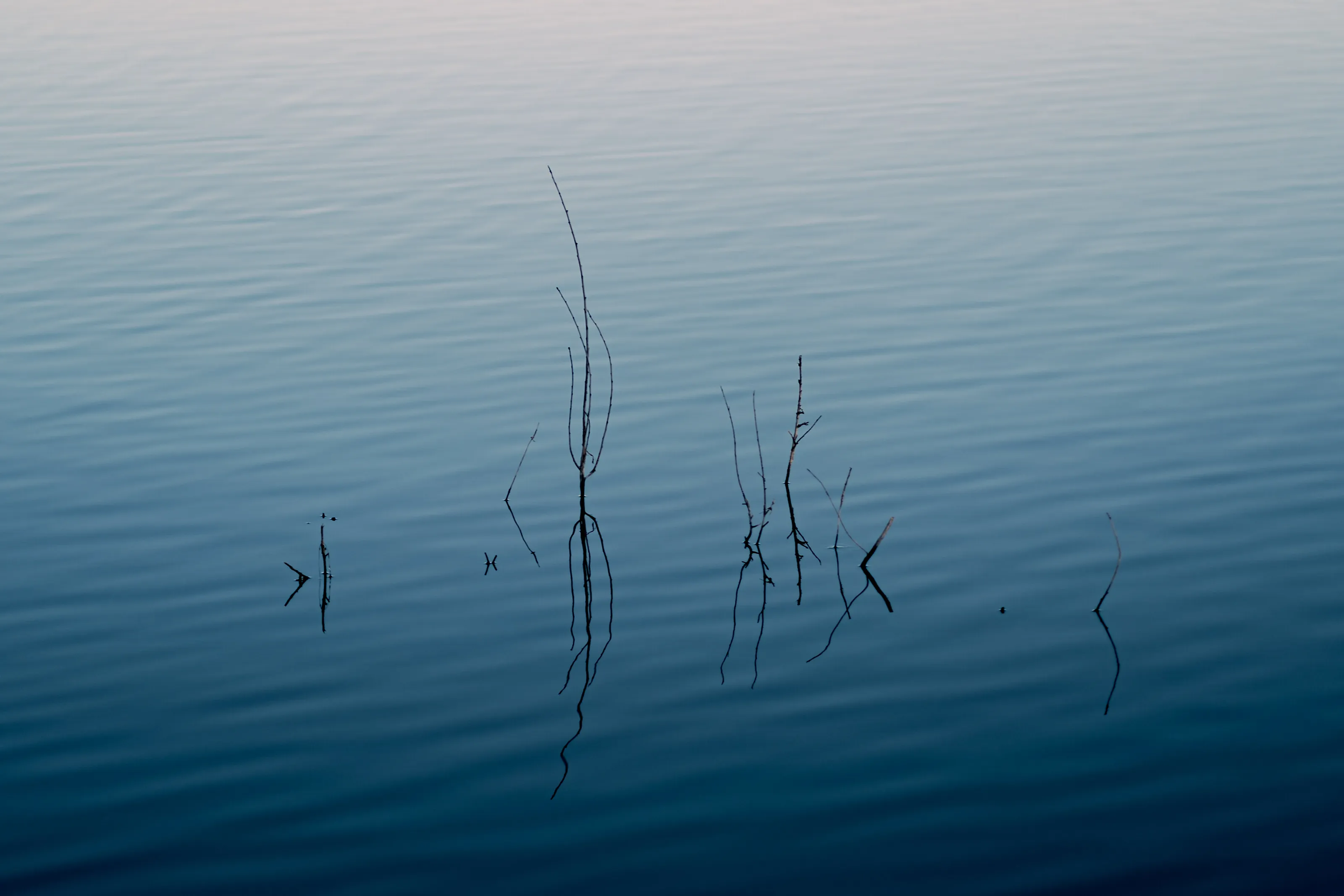 As Above So Below