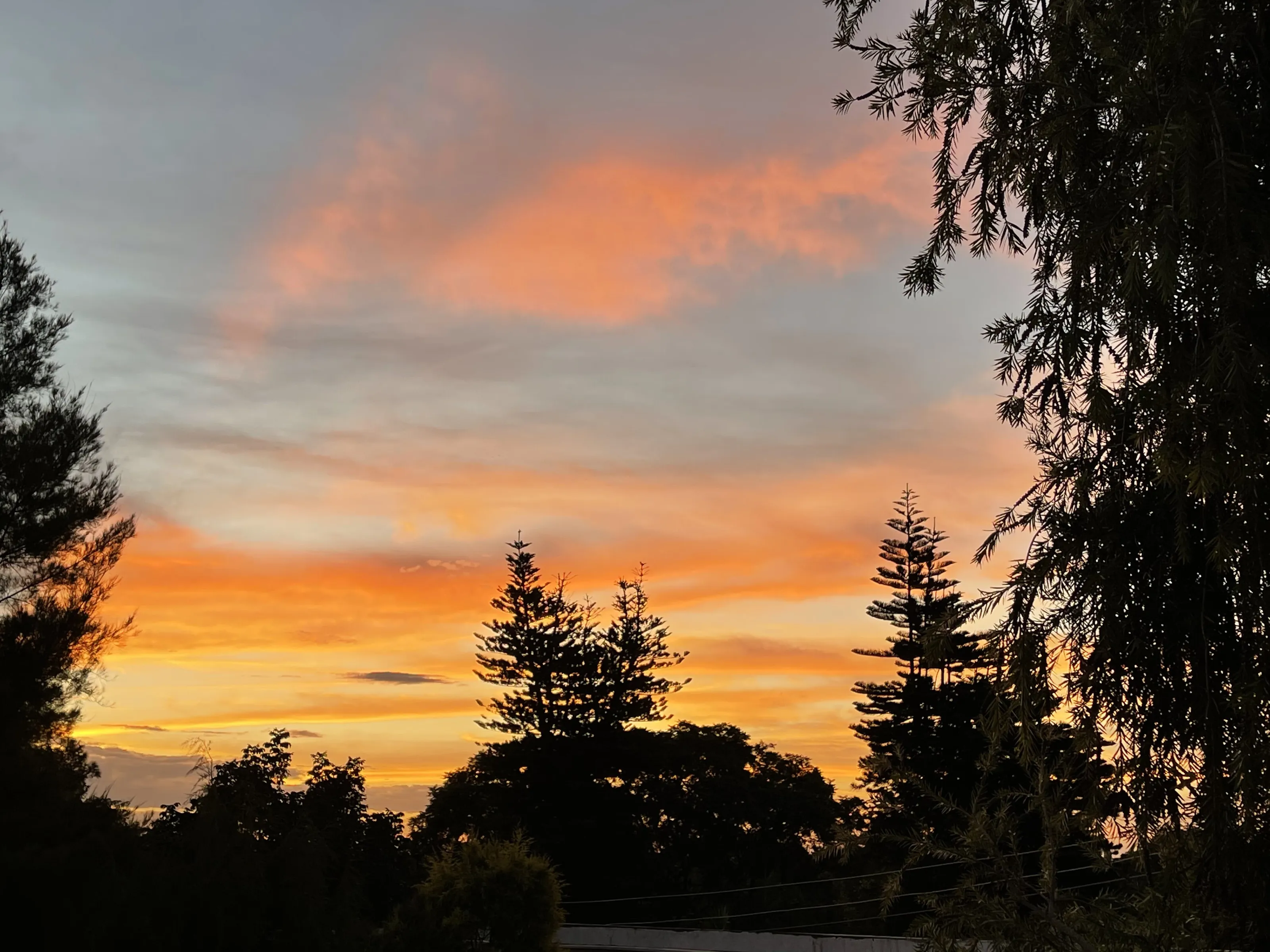 Golden light
