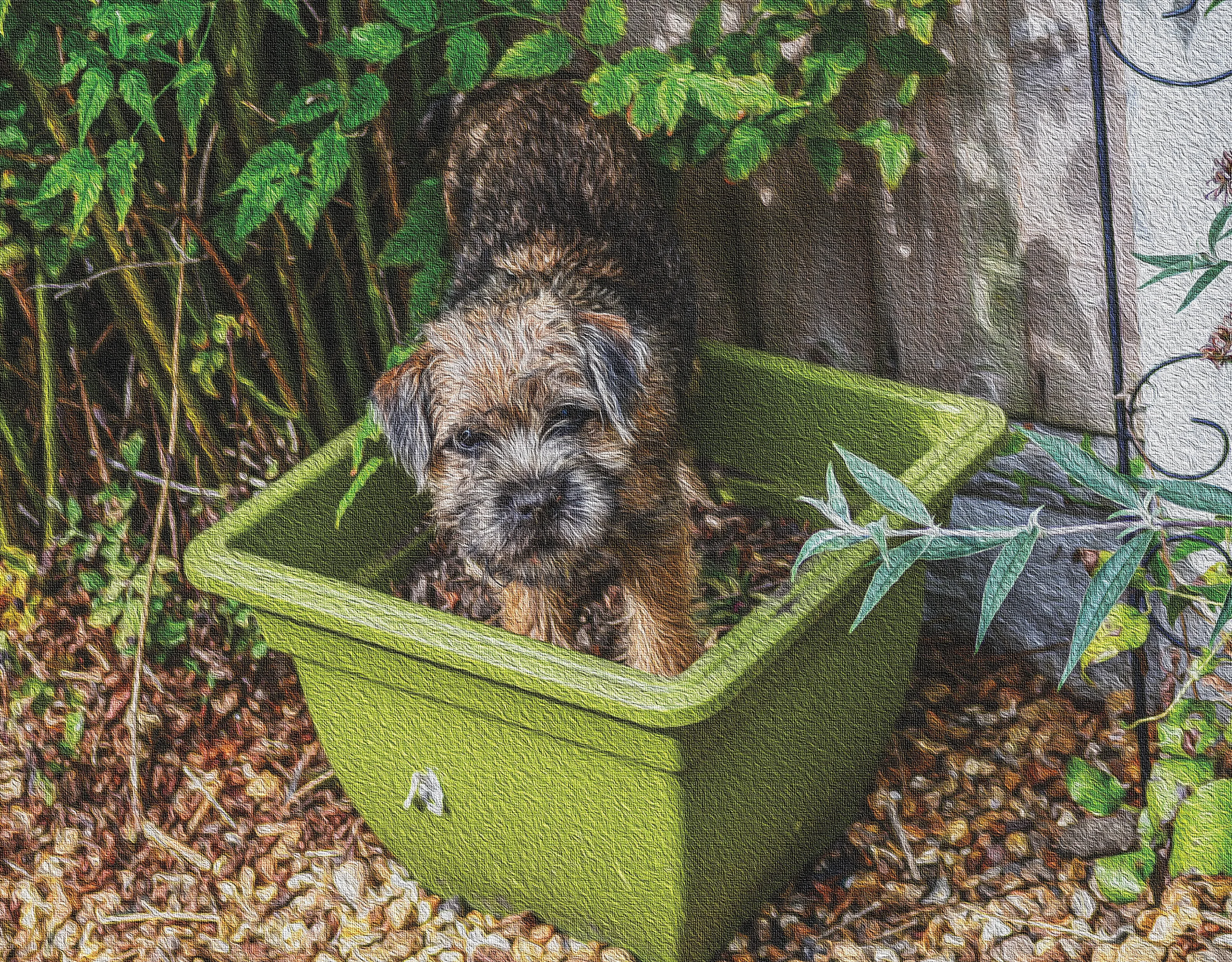 I,m sure I buried it here?