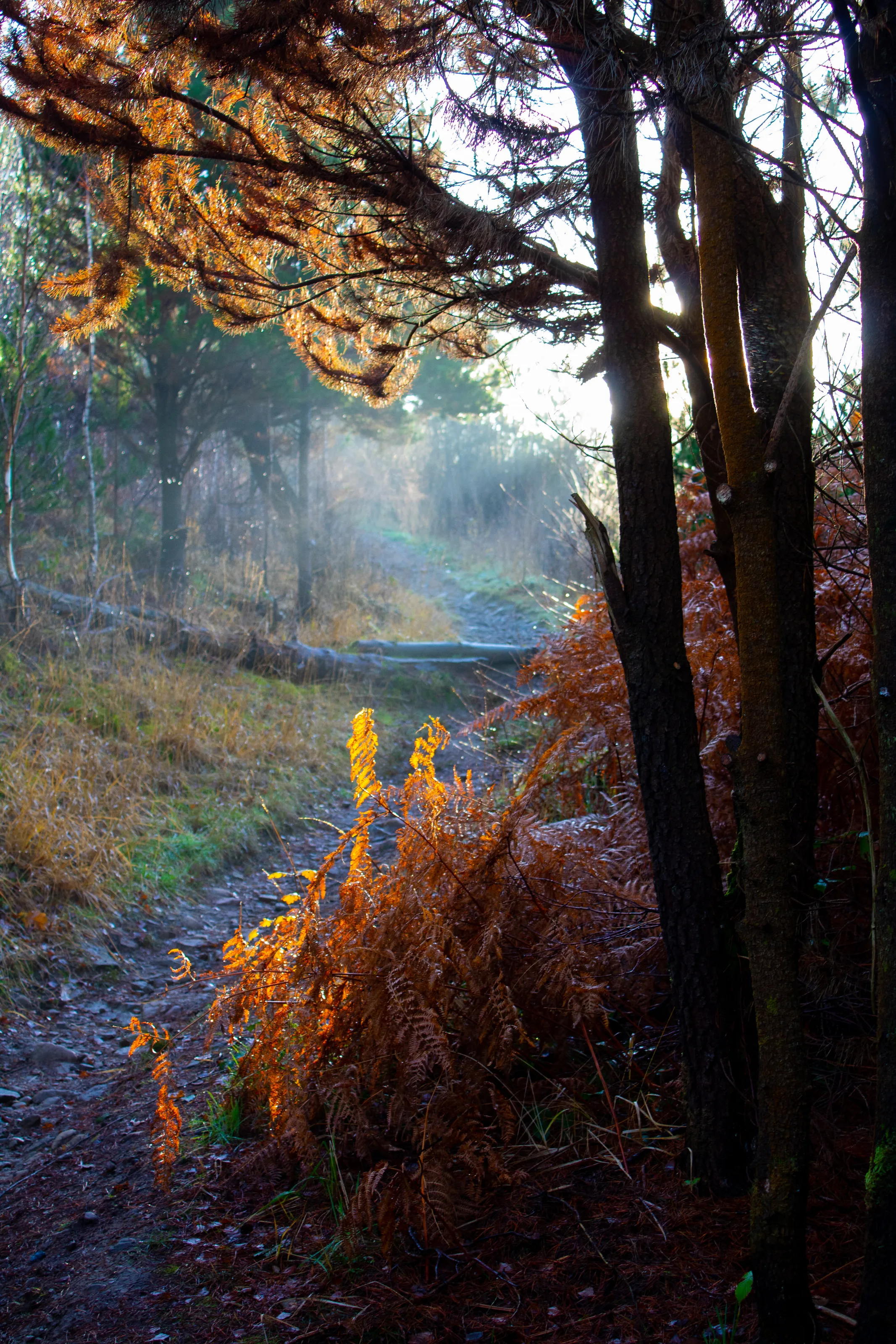 Kilvey Hill