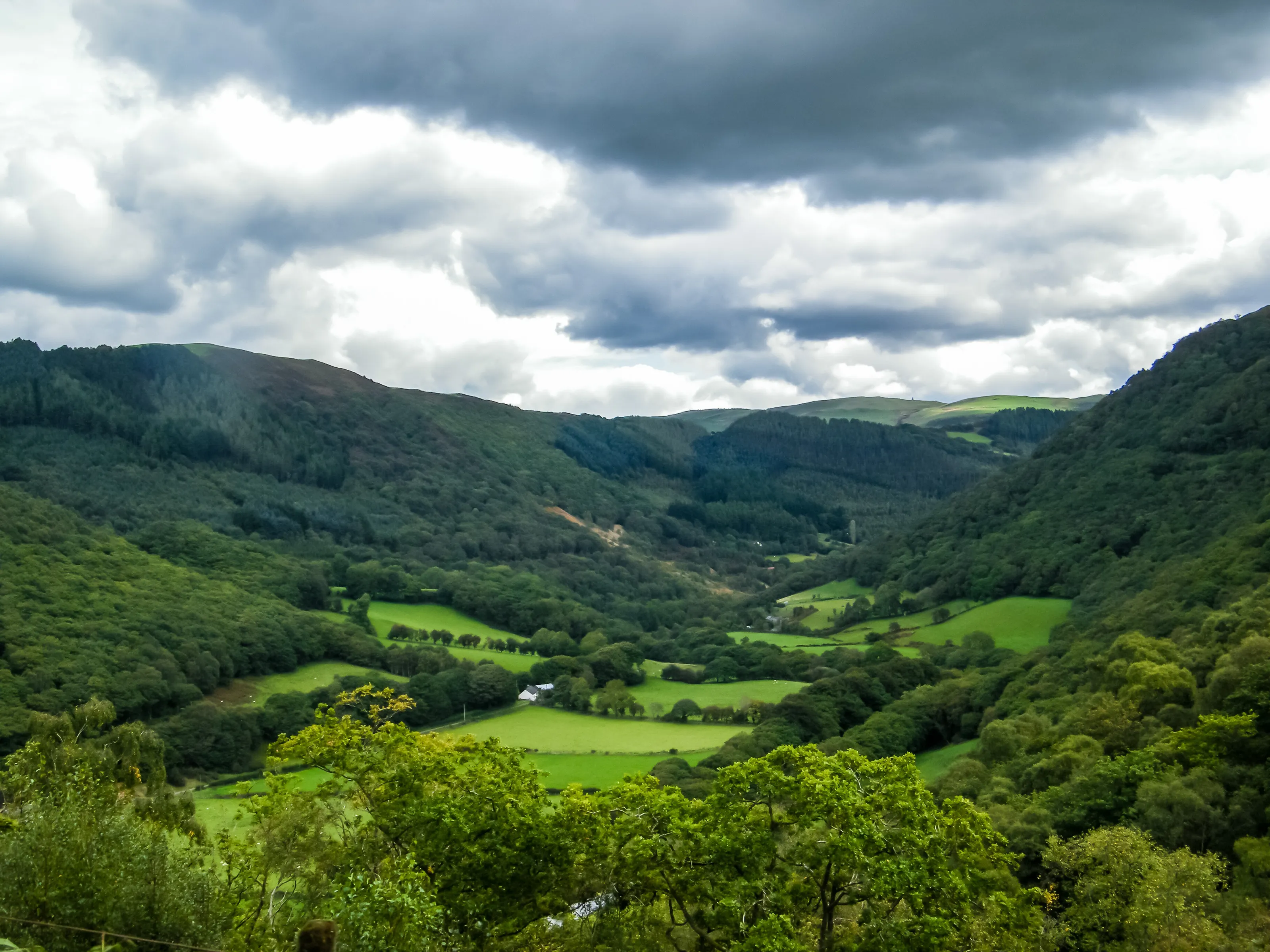 Rheidol Valley Wales