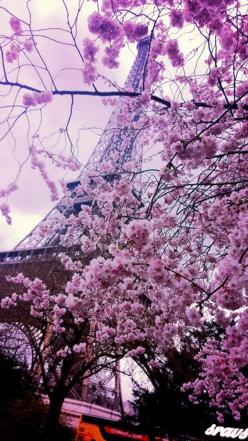 printemps
