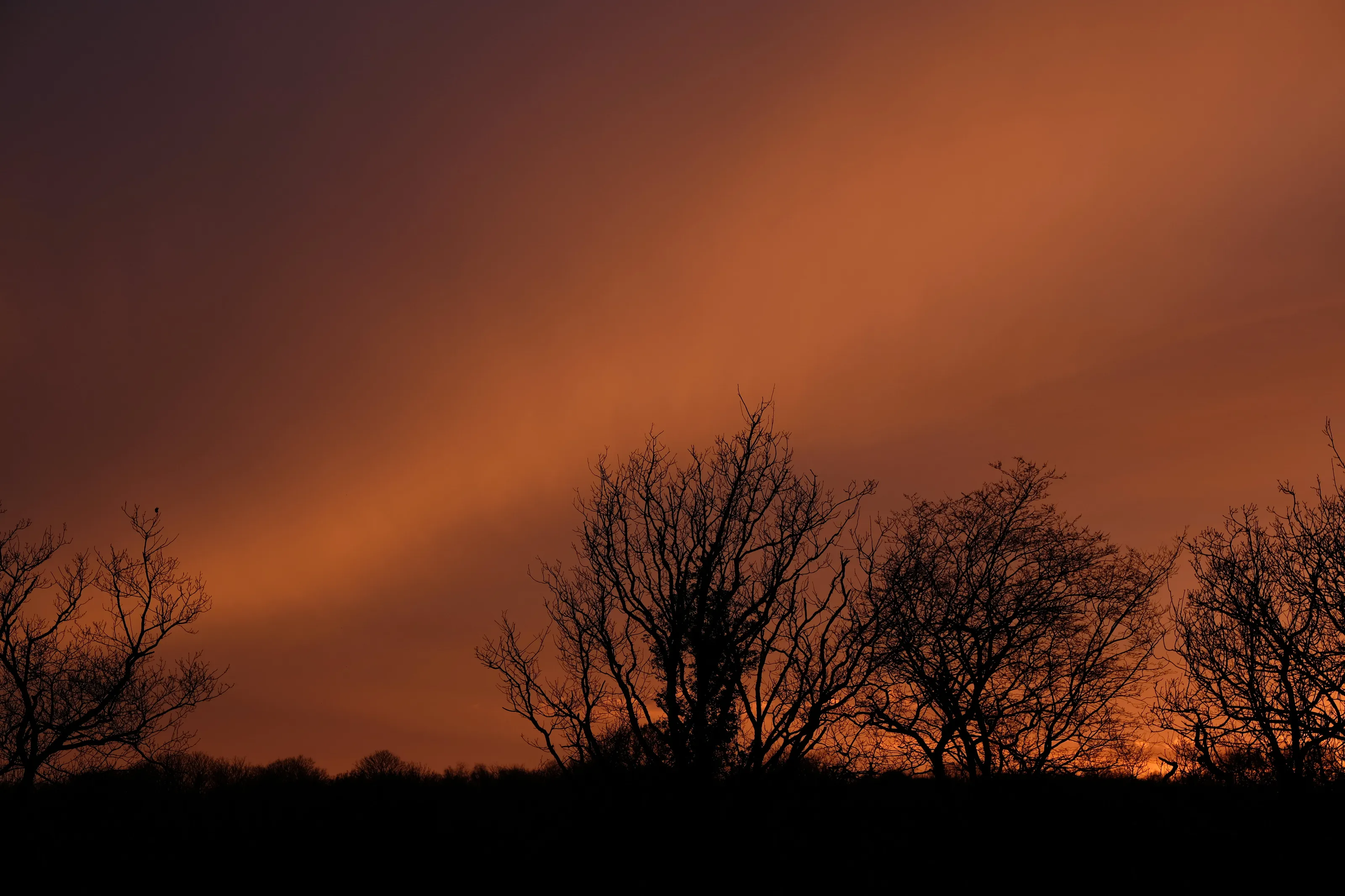 Bronze sunset