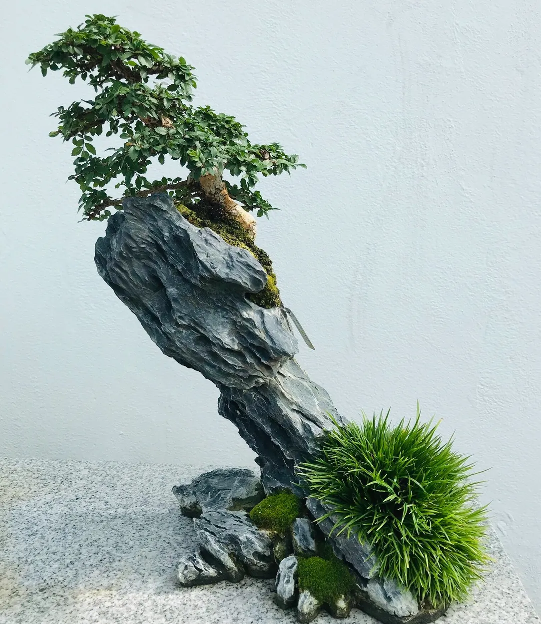 Entry 9009454