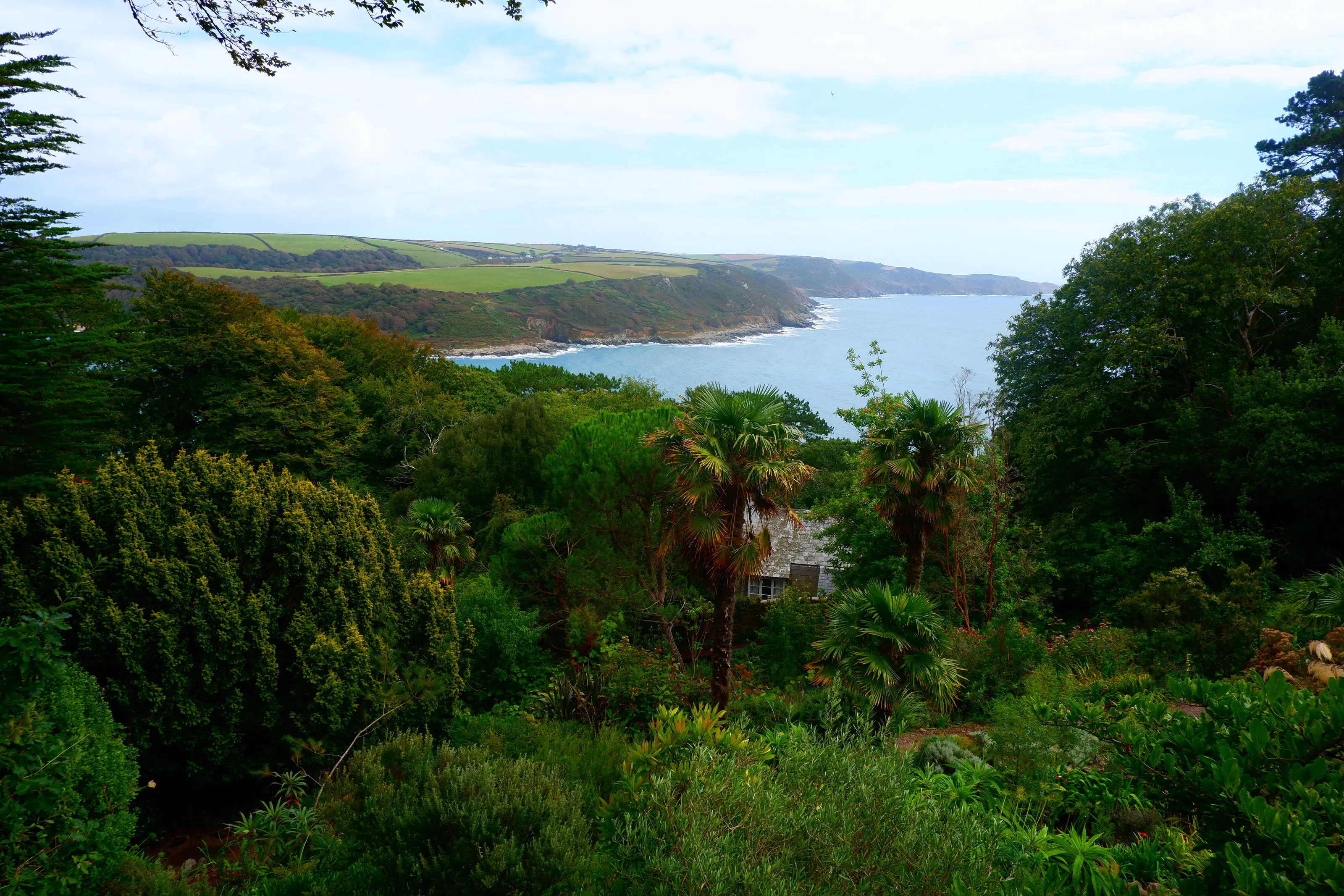 Solcombe, Devon