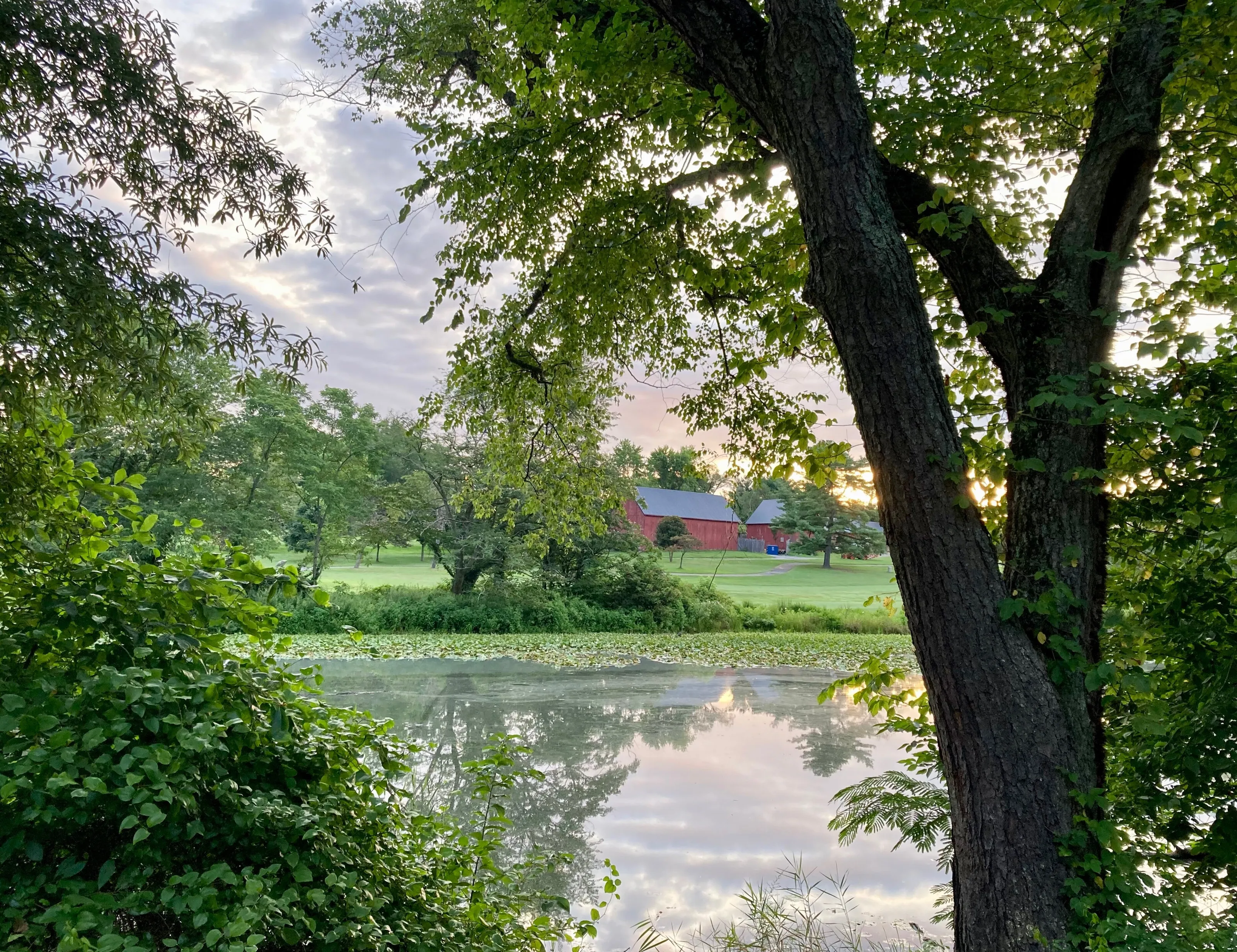 Barn at sunrise