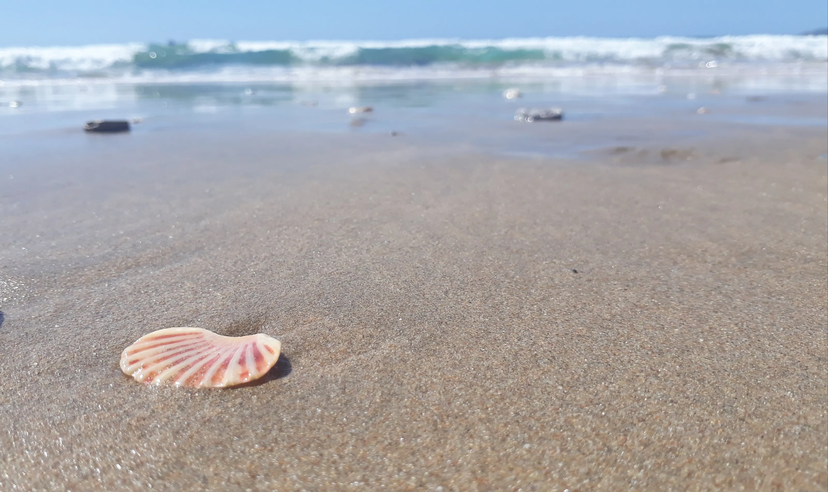 Sun, Sand & Sea