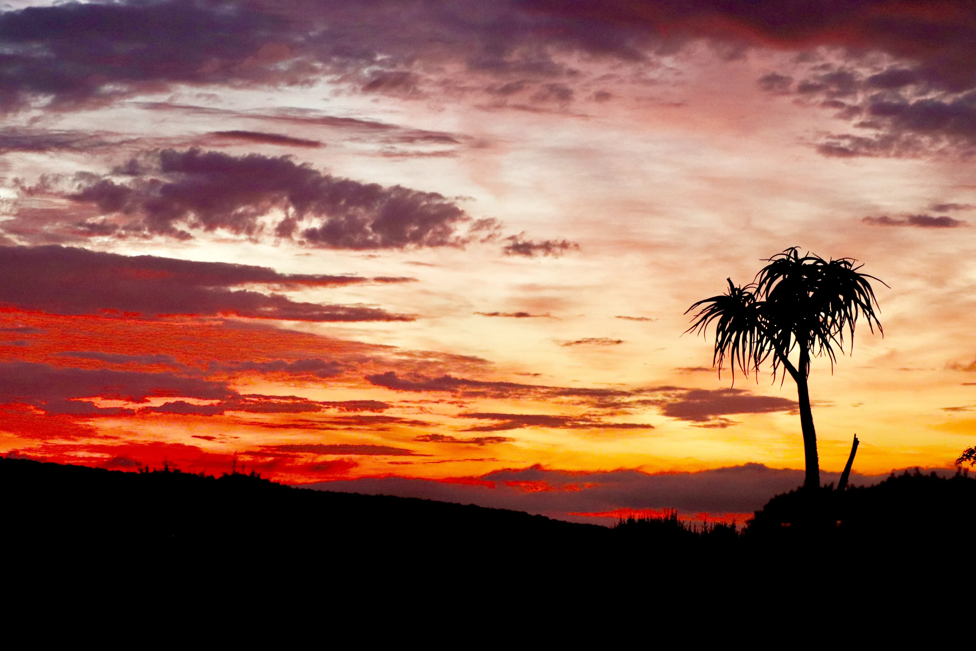 Sunrise in South Africa