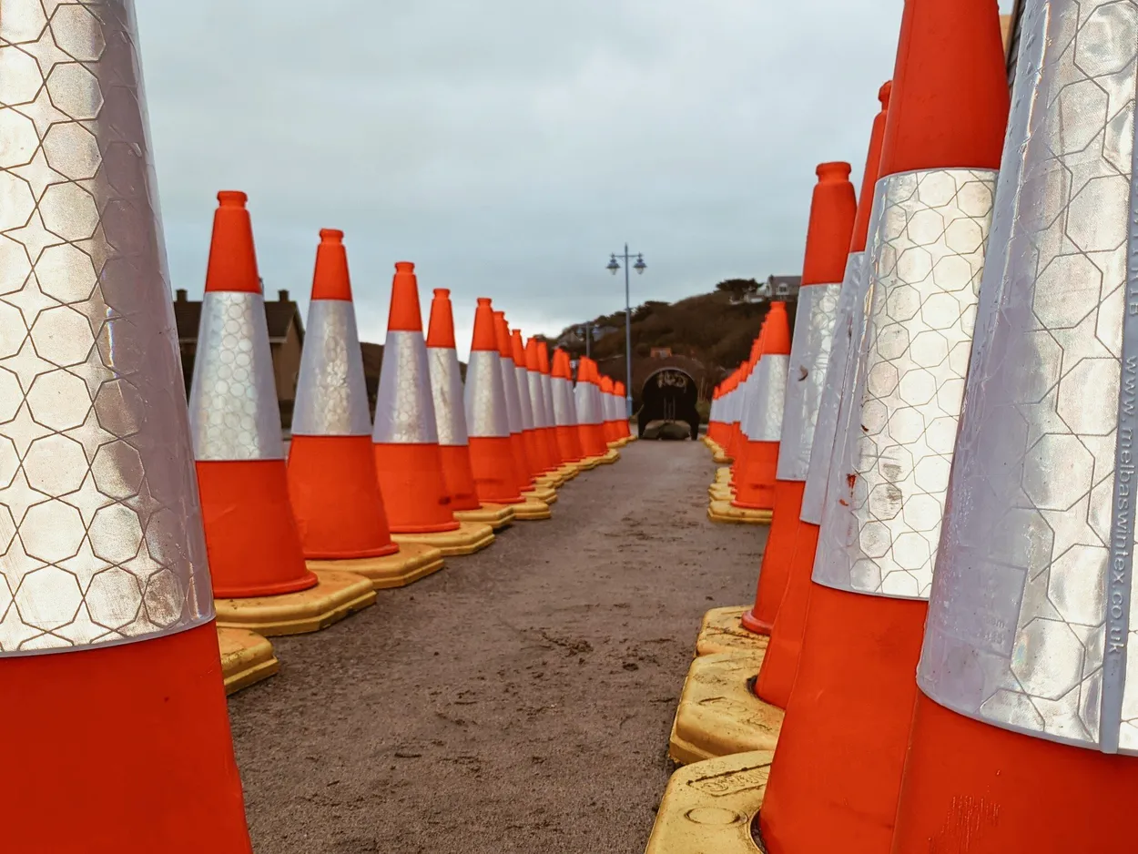 Entry 9029461