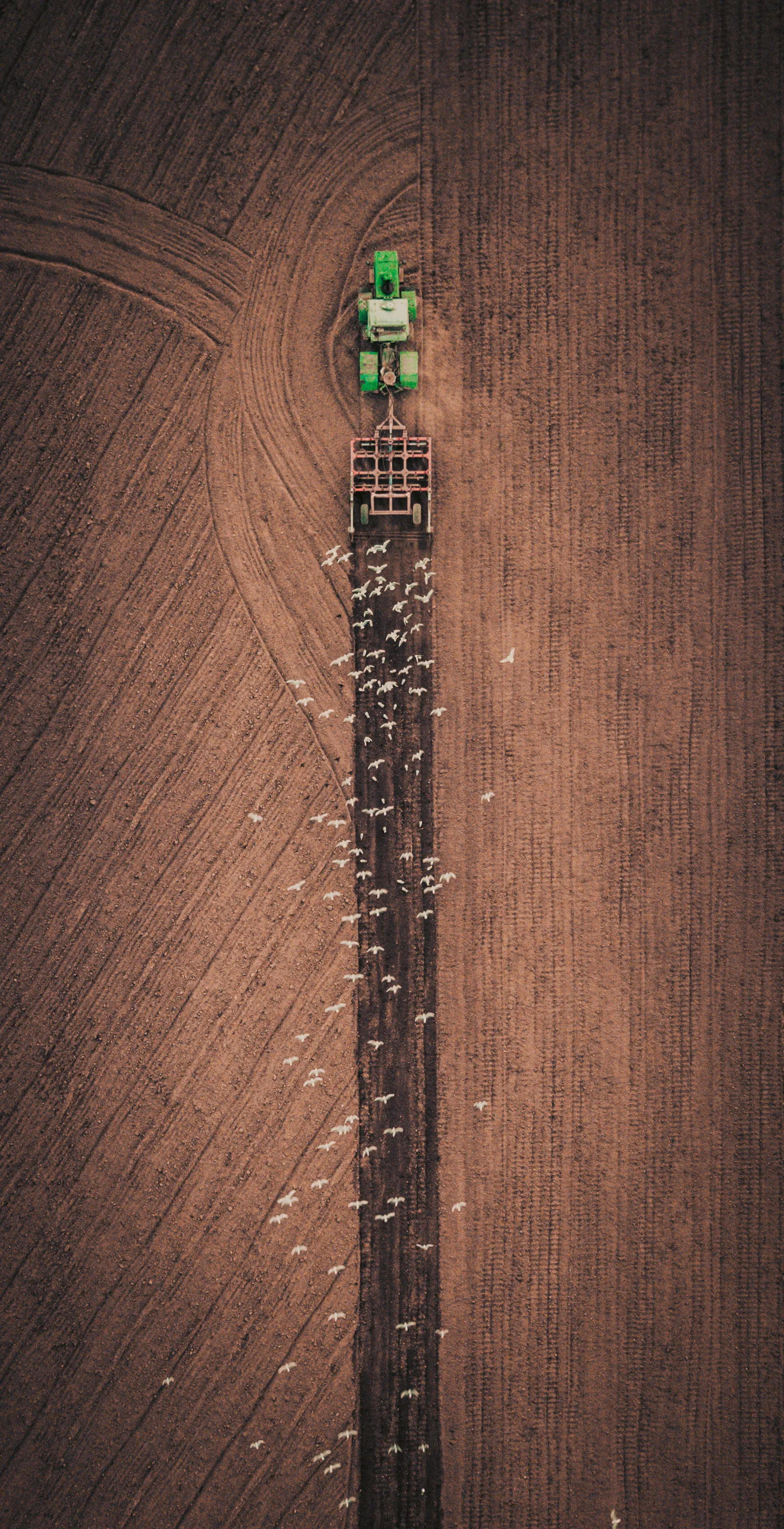Farm simulator