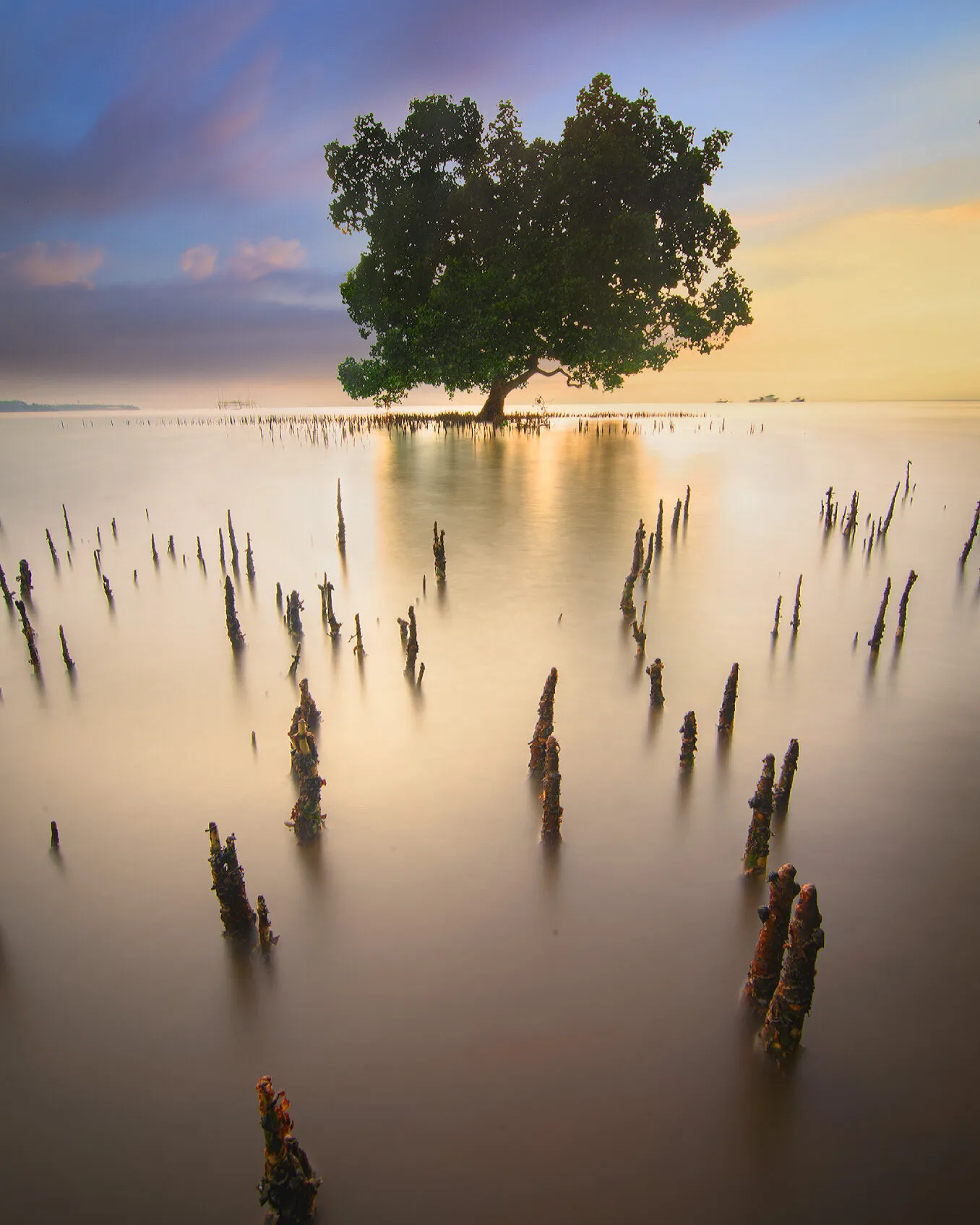 Tree of Hope