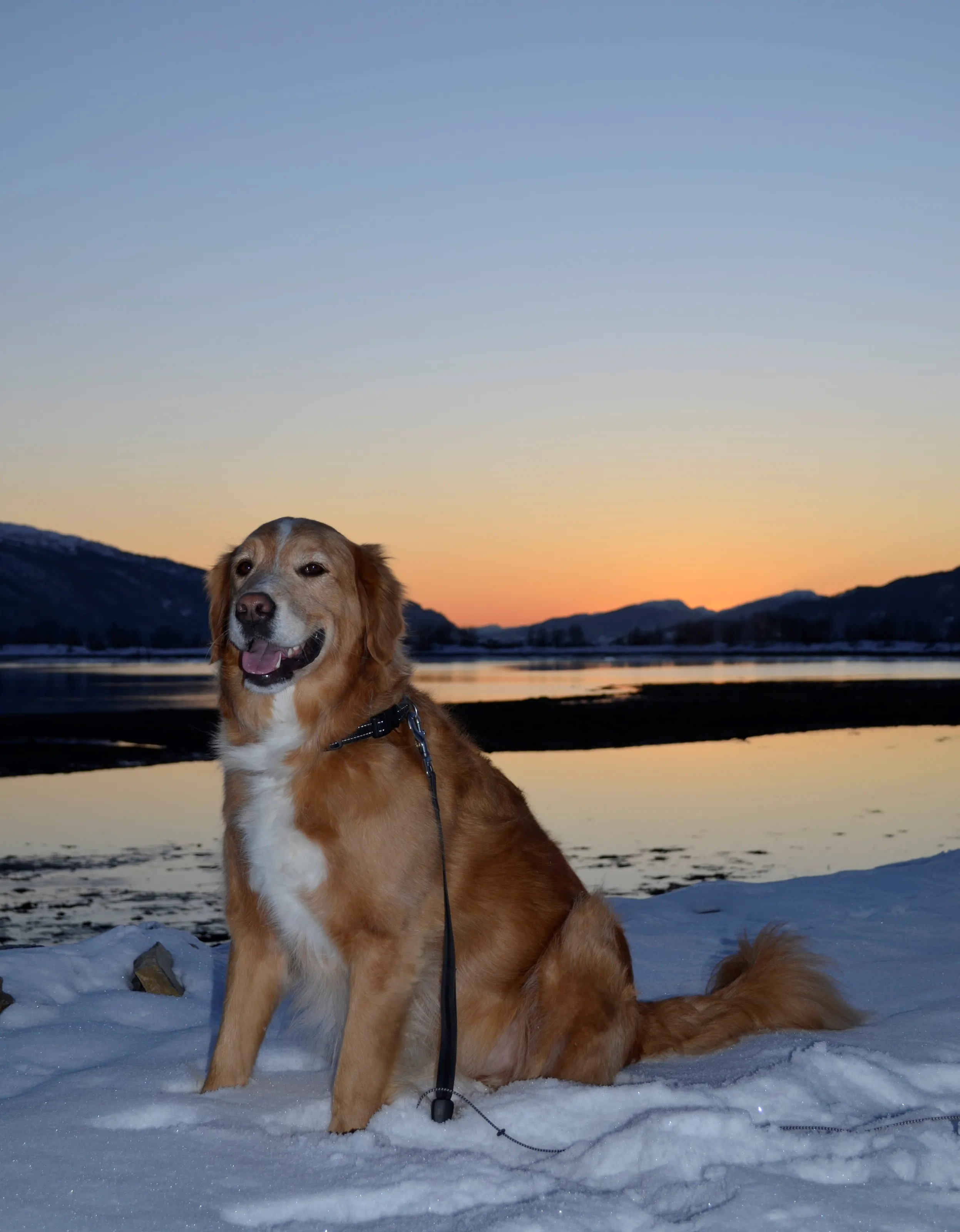 Greco loves the winter in Norway.