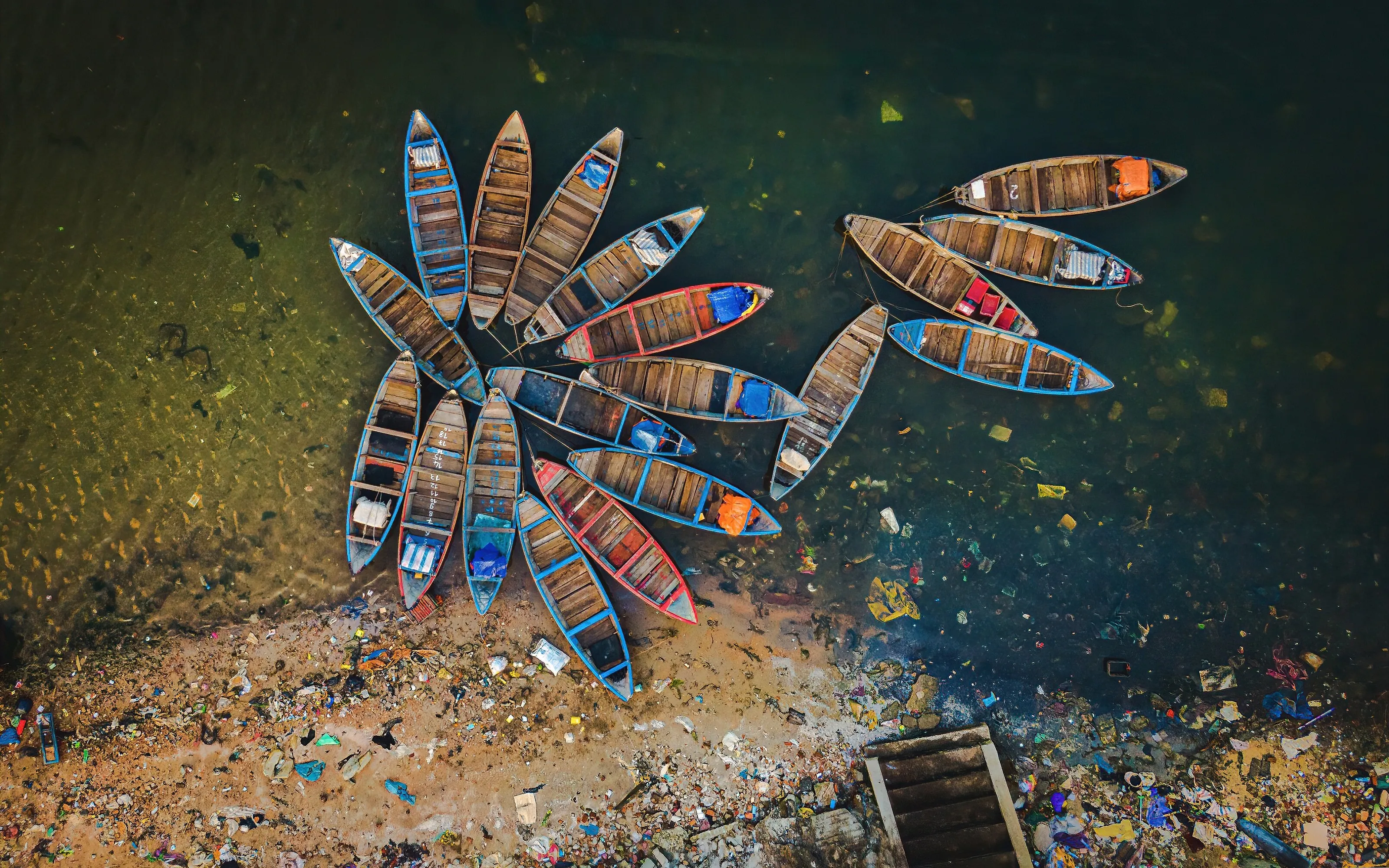 BOAT FLOWER IN POLLUTION