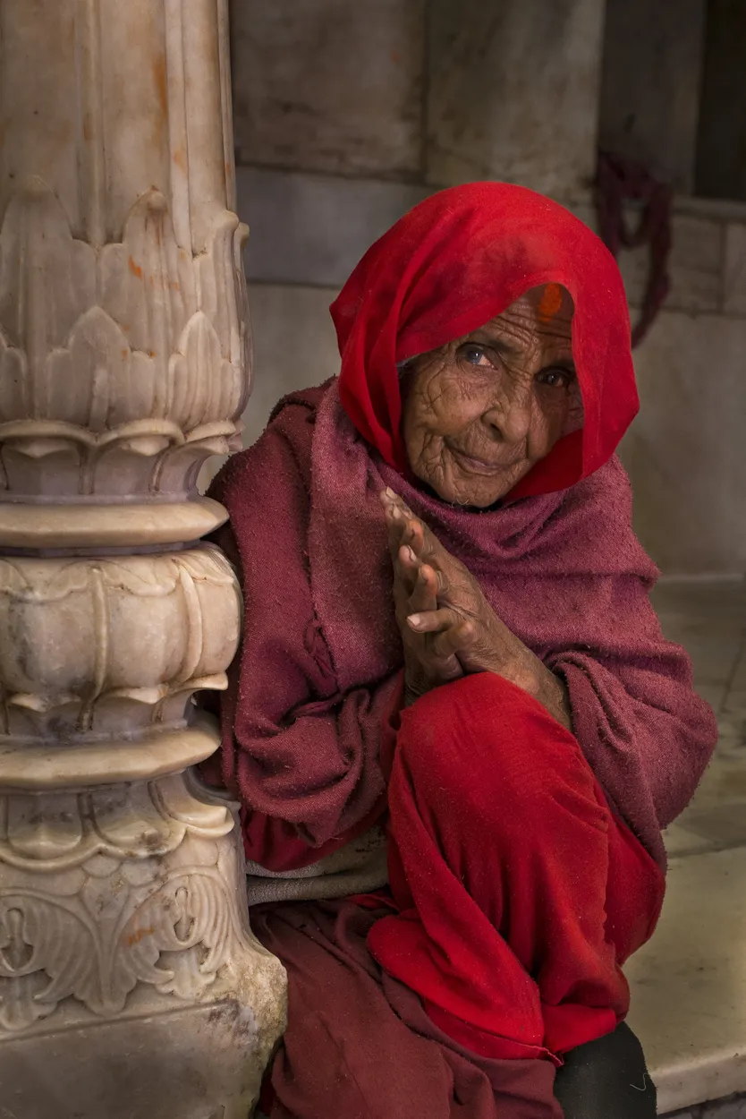 Entry 486618