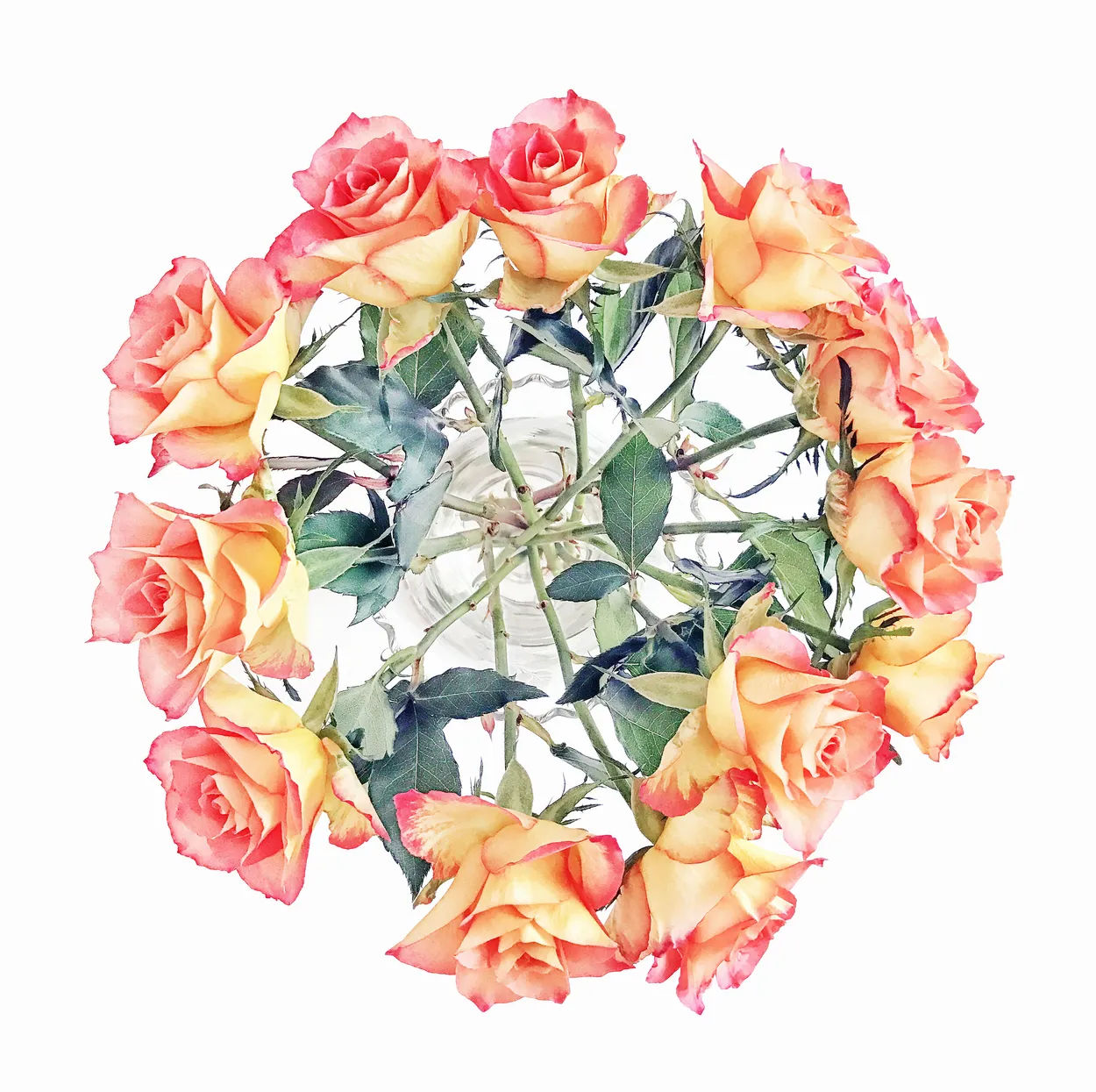 Entry 9209106