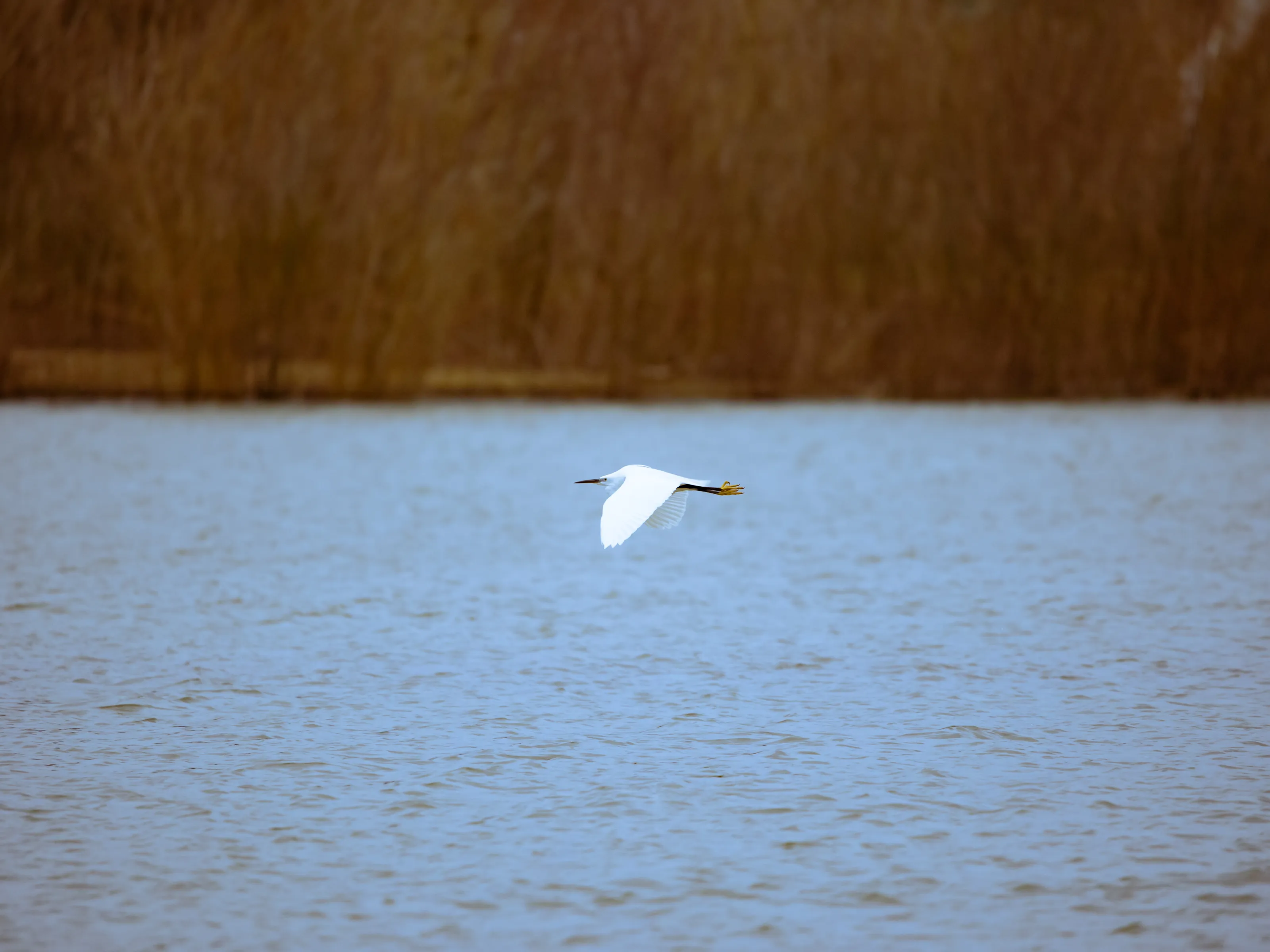I fly solo