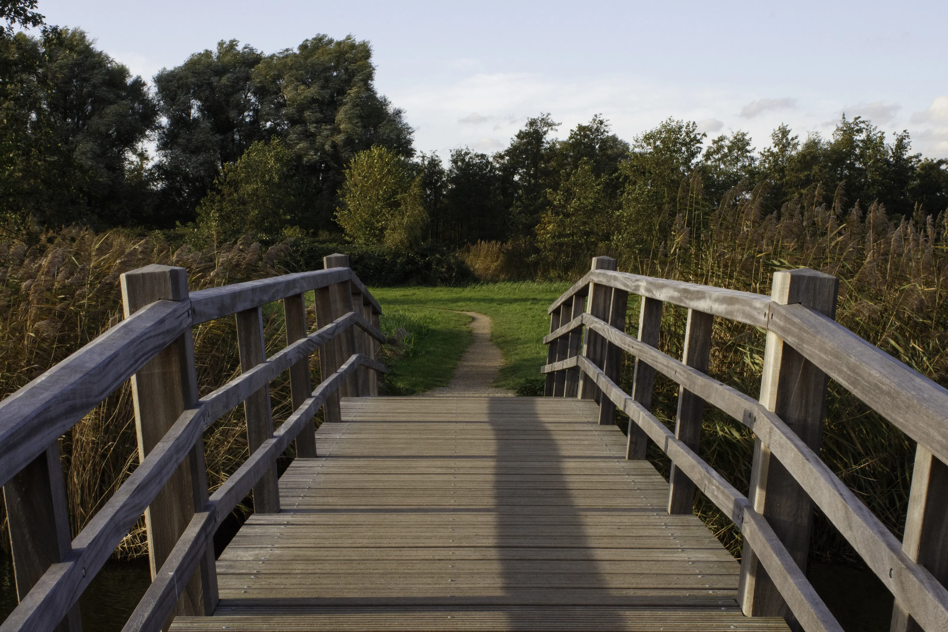 Dutch sunny autumn landscape