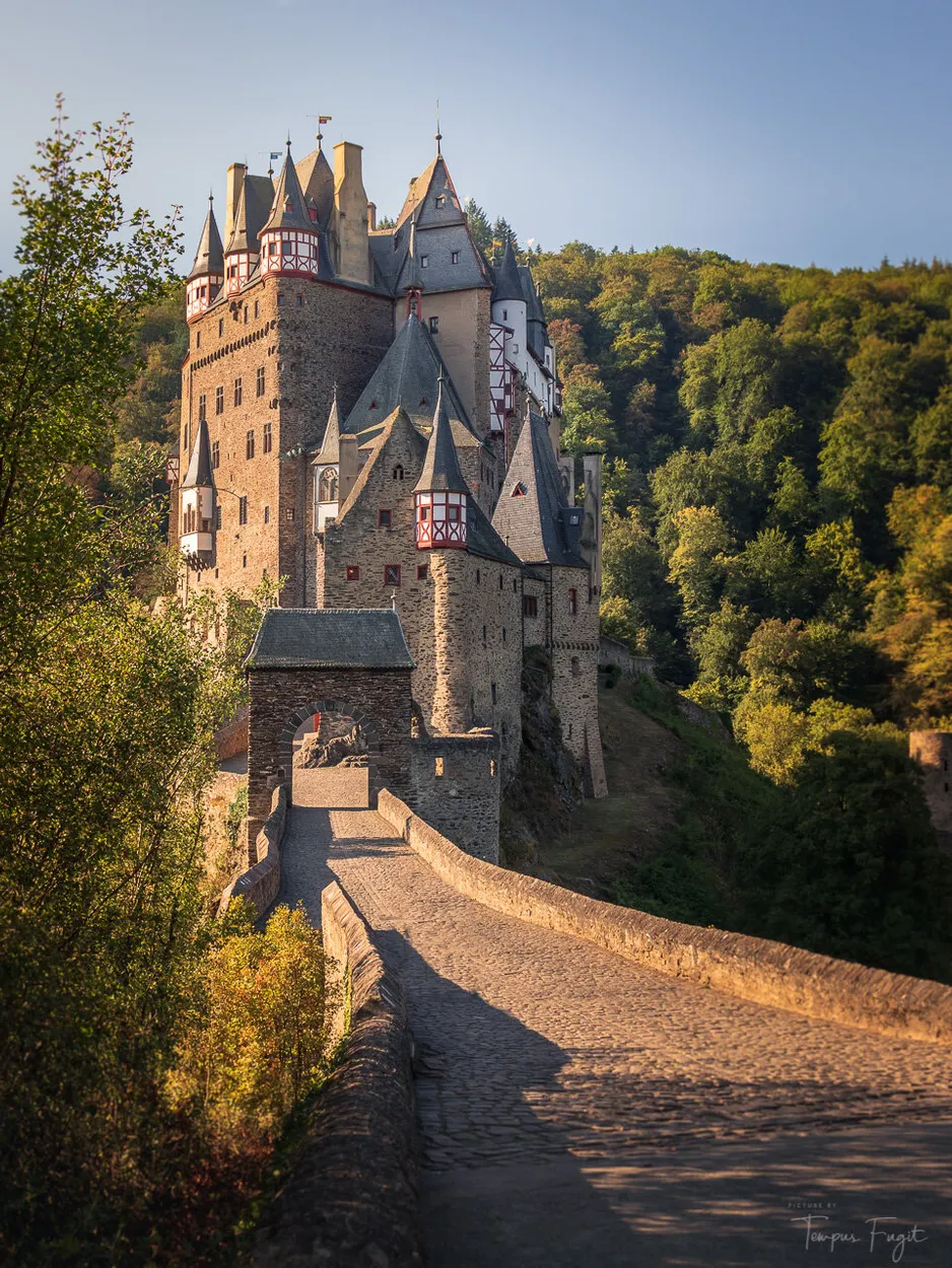Entry 19393022