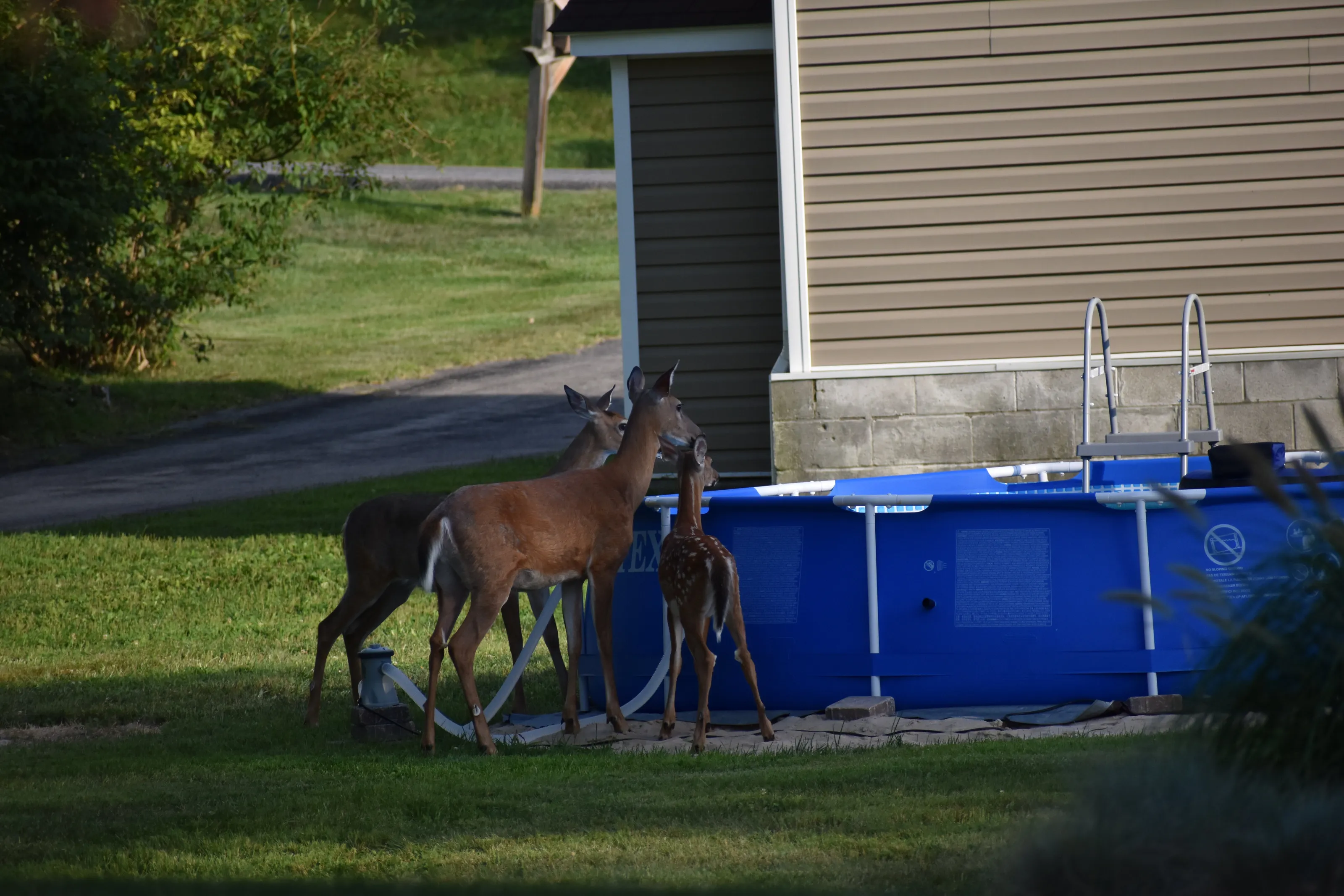 Family Outing