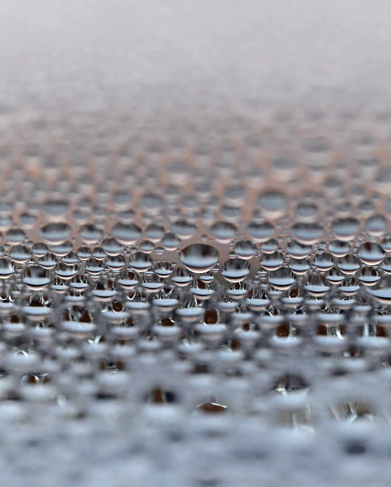 Condensation 1