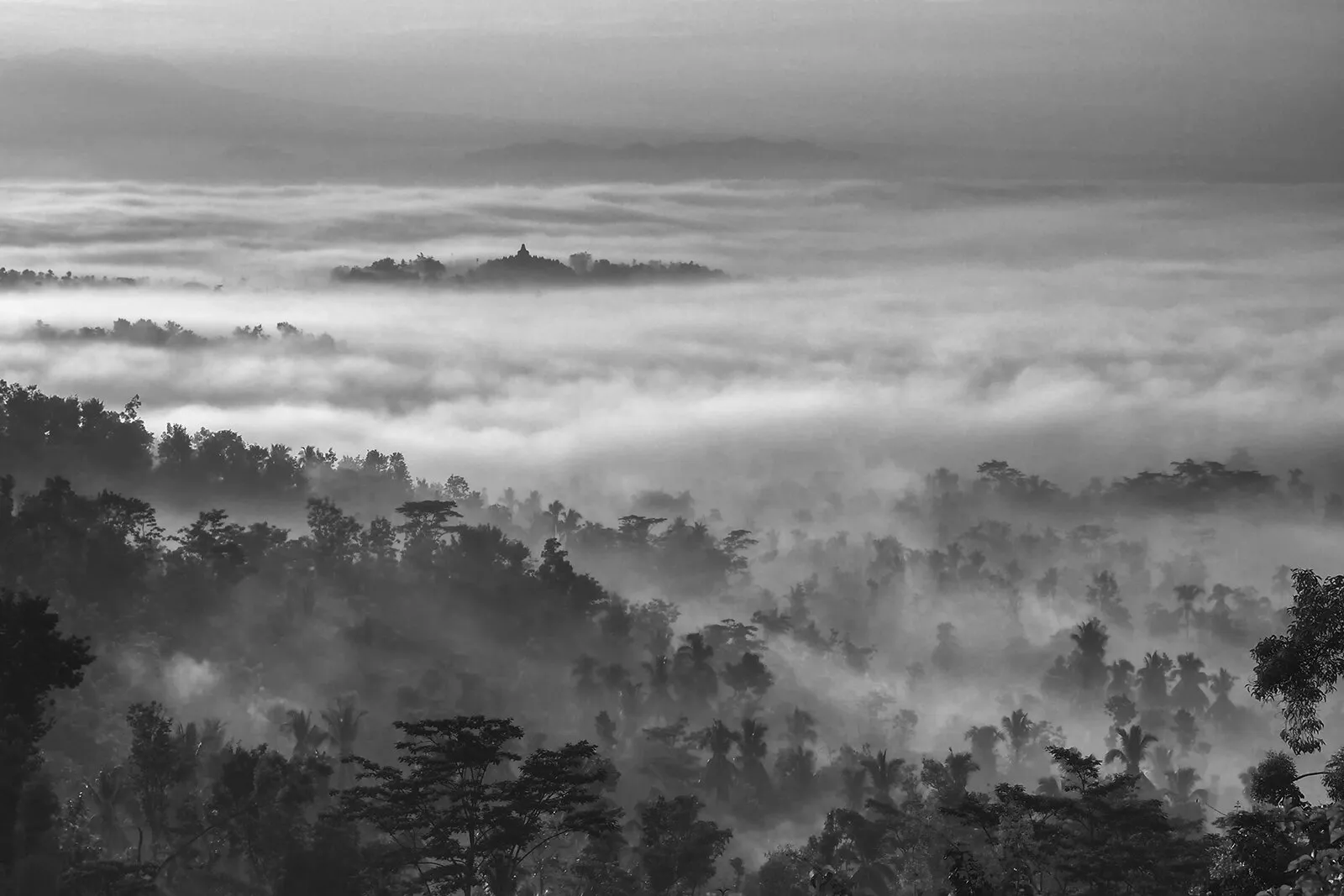The Magnificent Borobudur