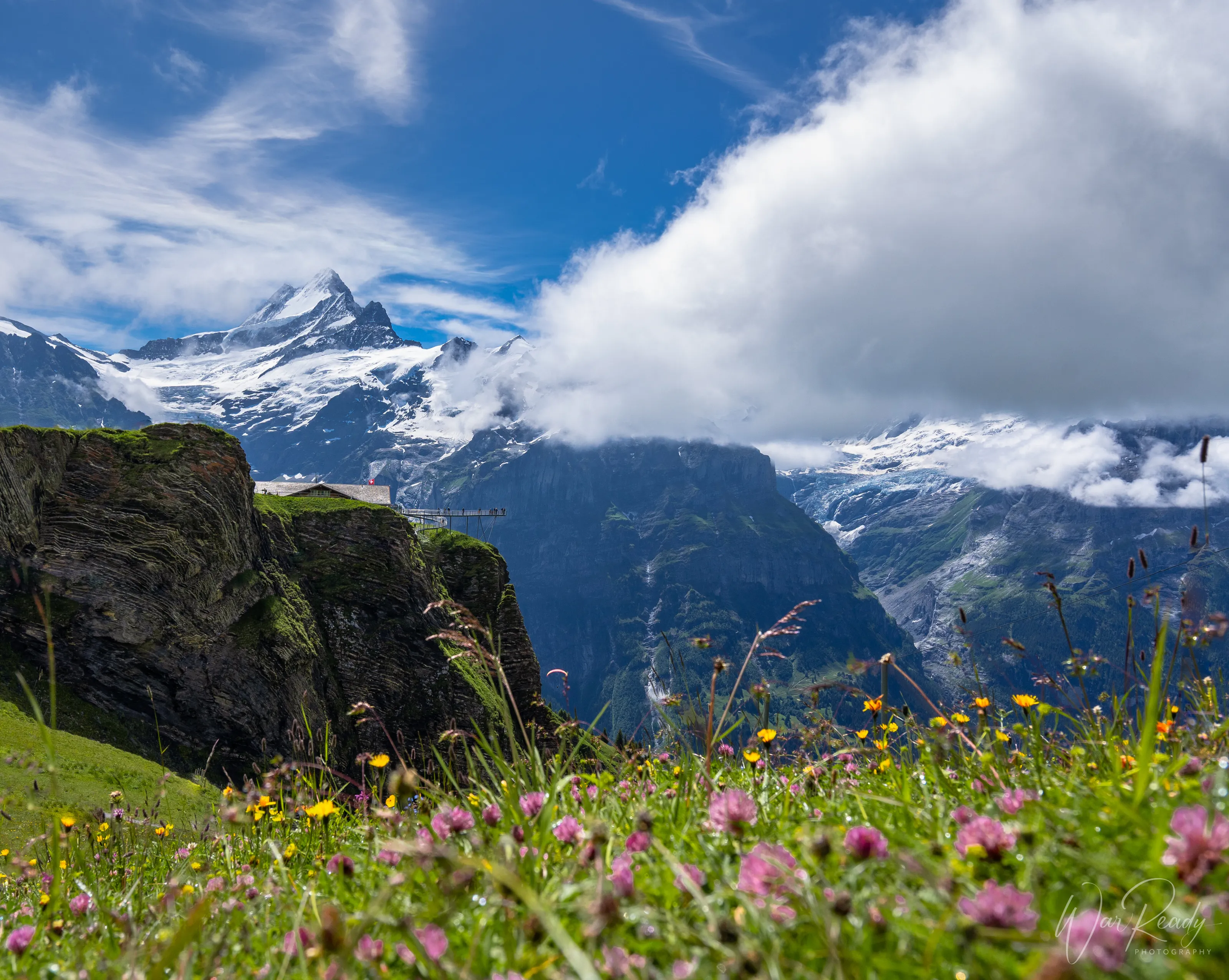 Swiss Dreams