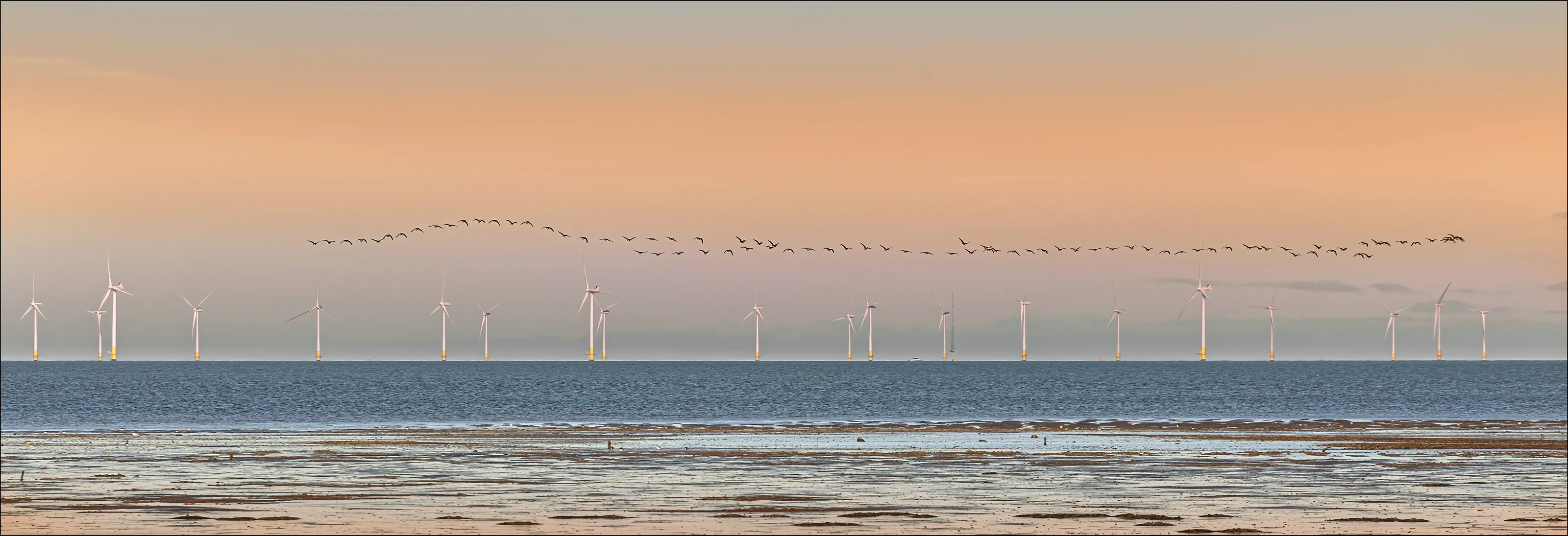 Kentish Flats Off Shore Wind Farm, view from Seasalter
