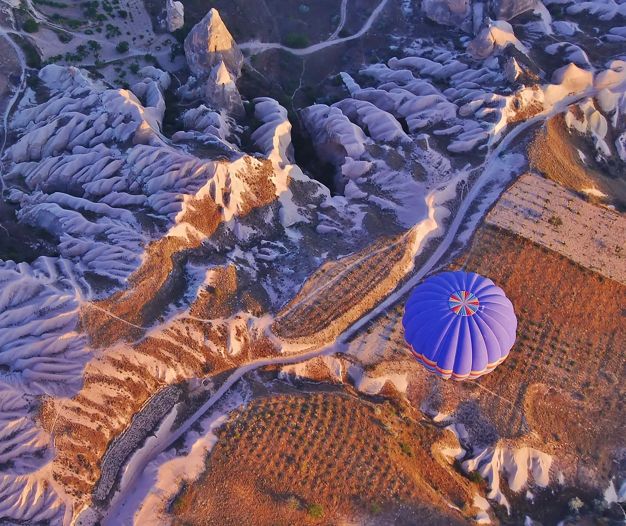 Entry 491125
