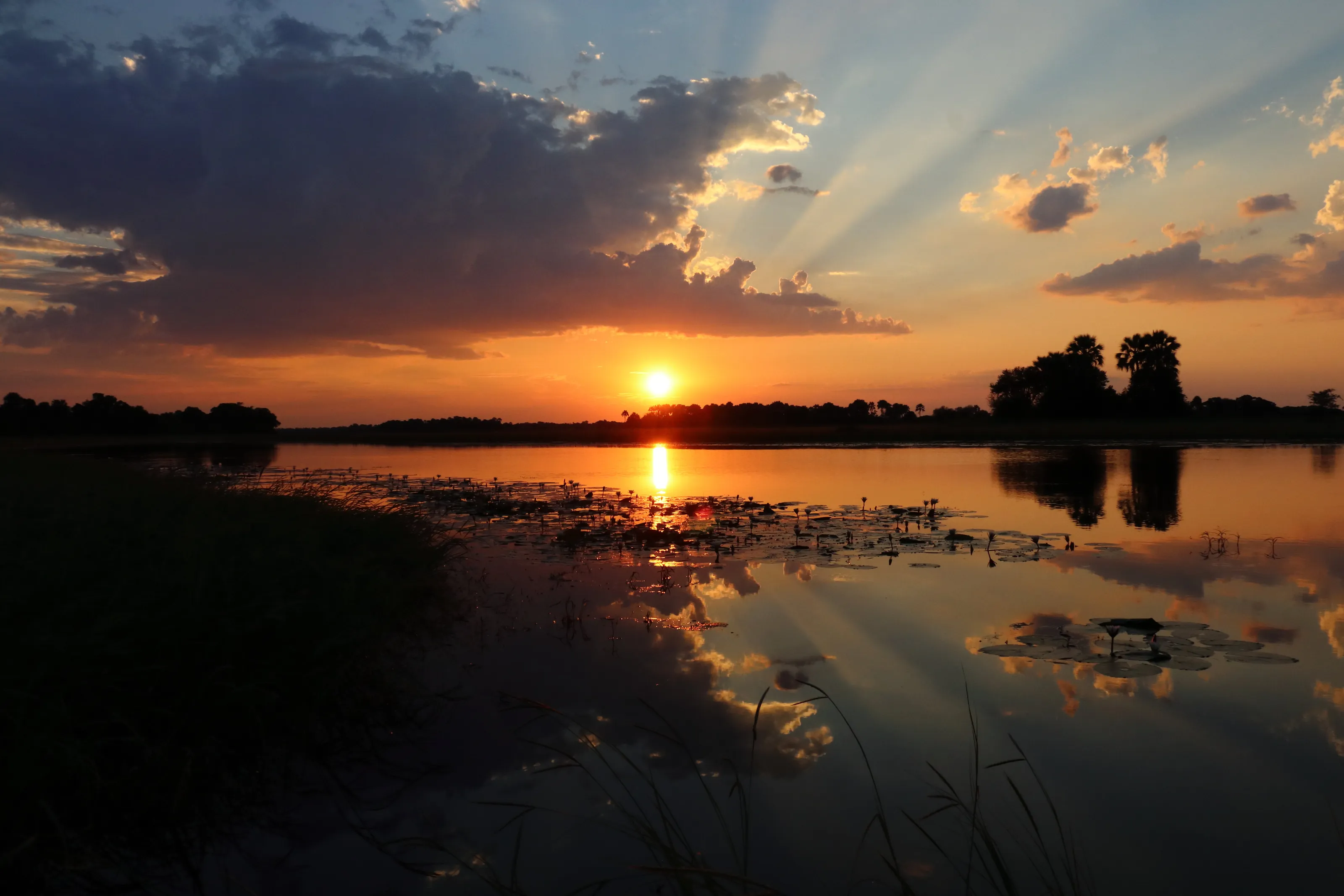 Sunset in the Okovango Delta