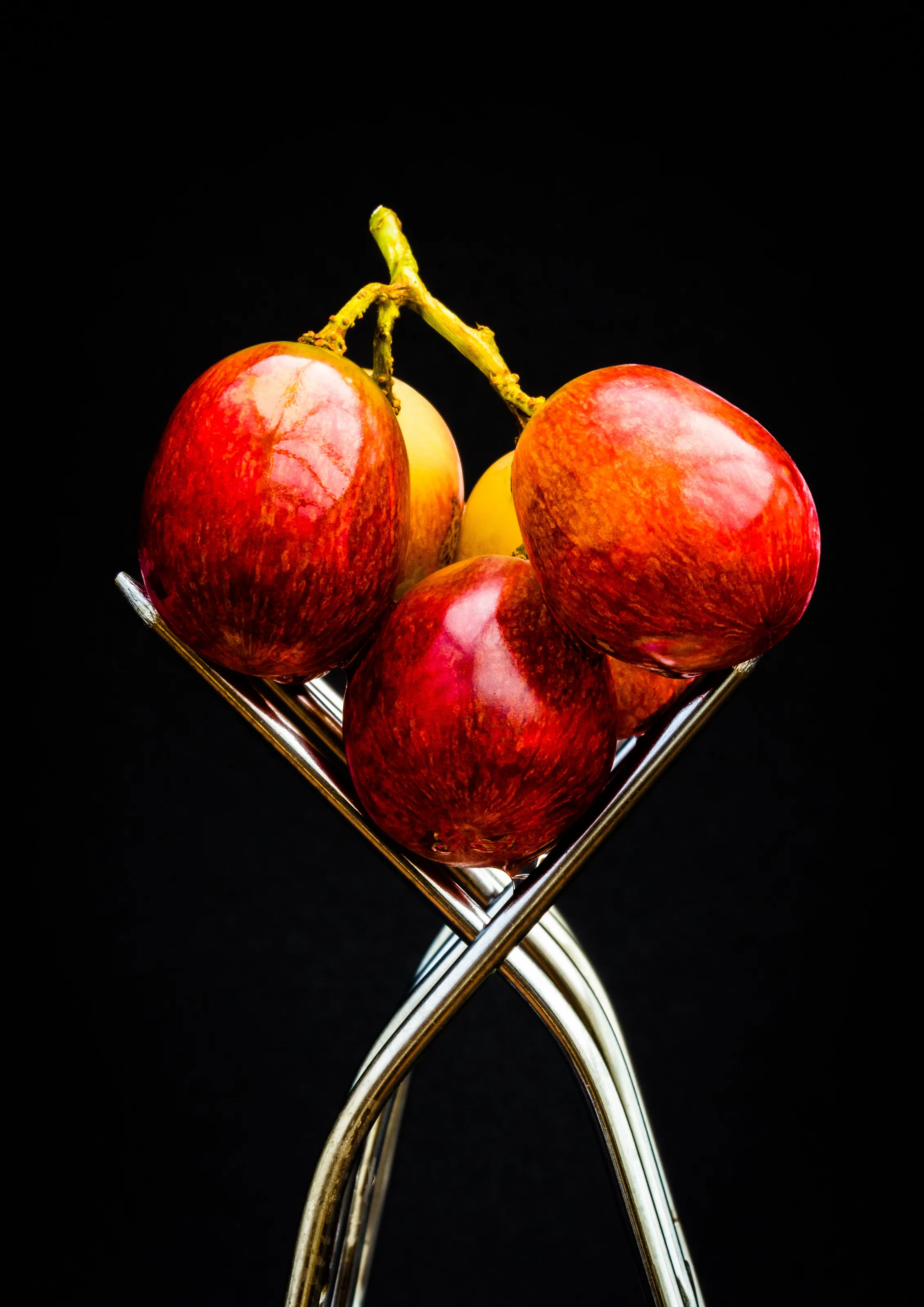 Grapes on the Tines