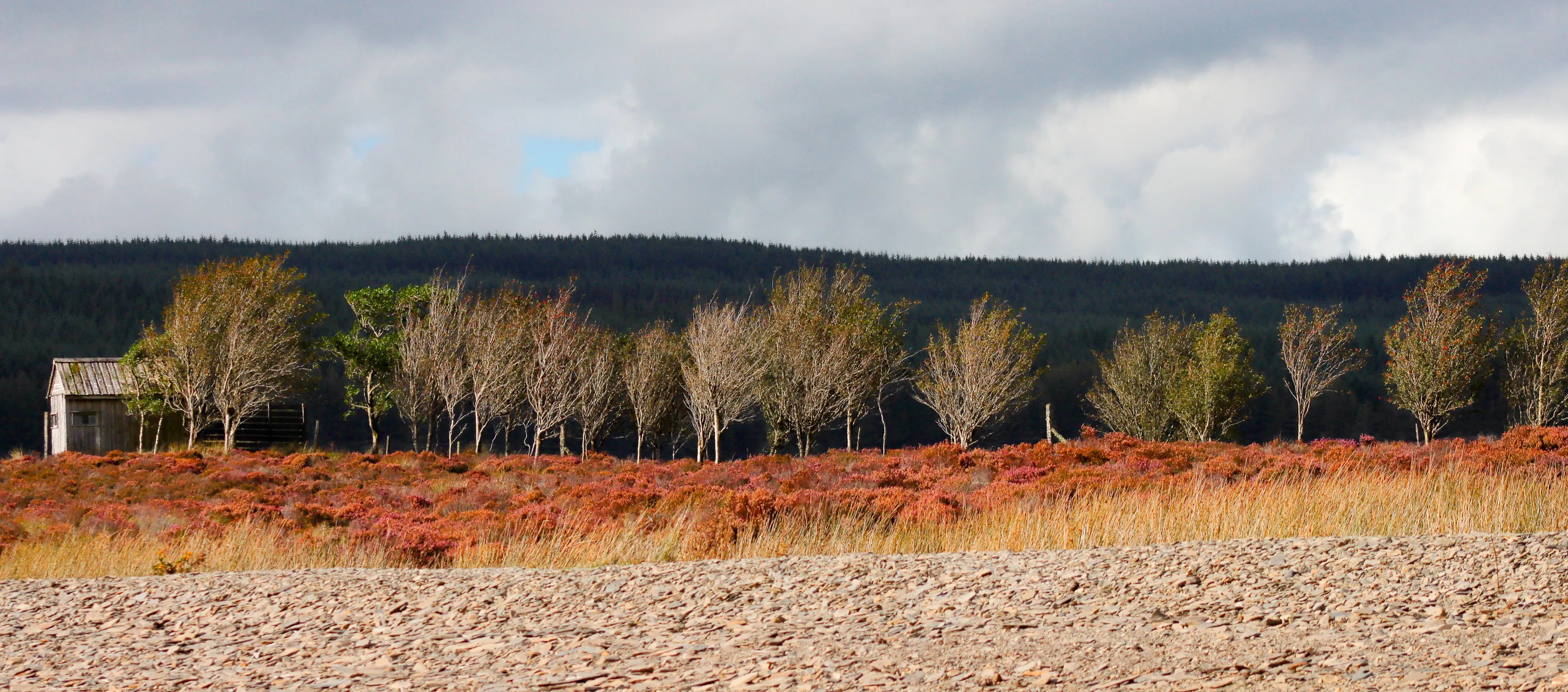 LLyn Brenig Bird HIde