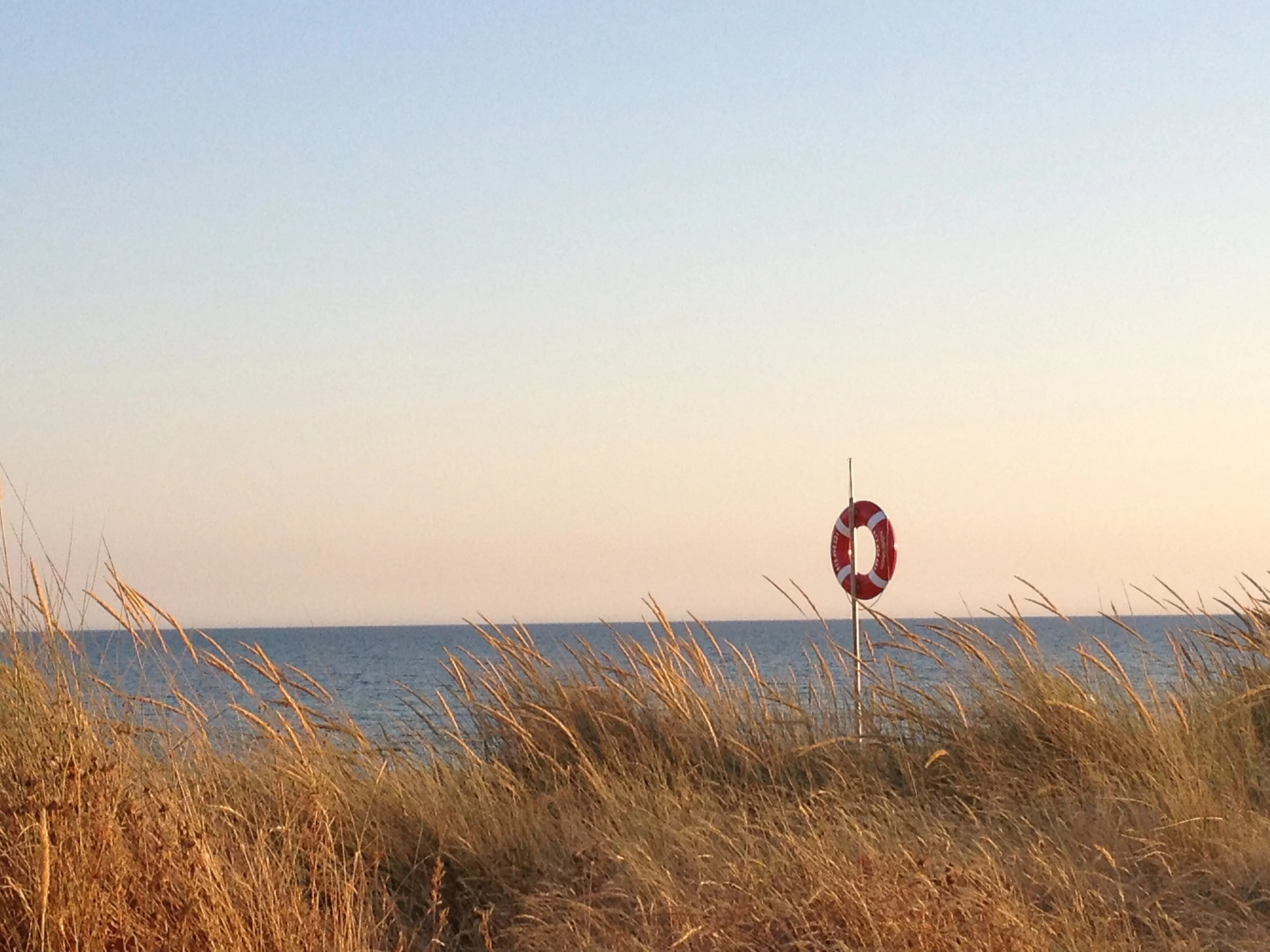 Lifeguard
