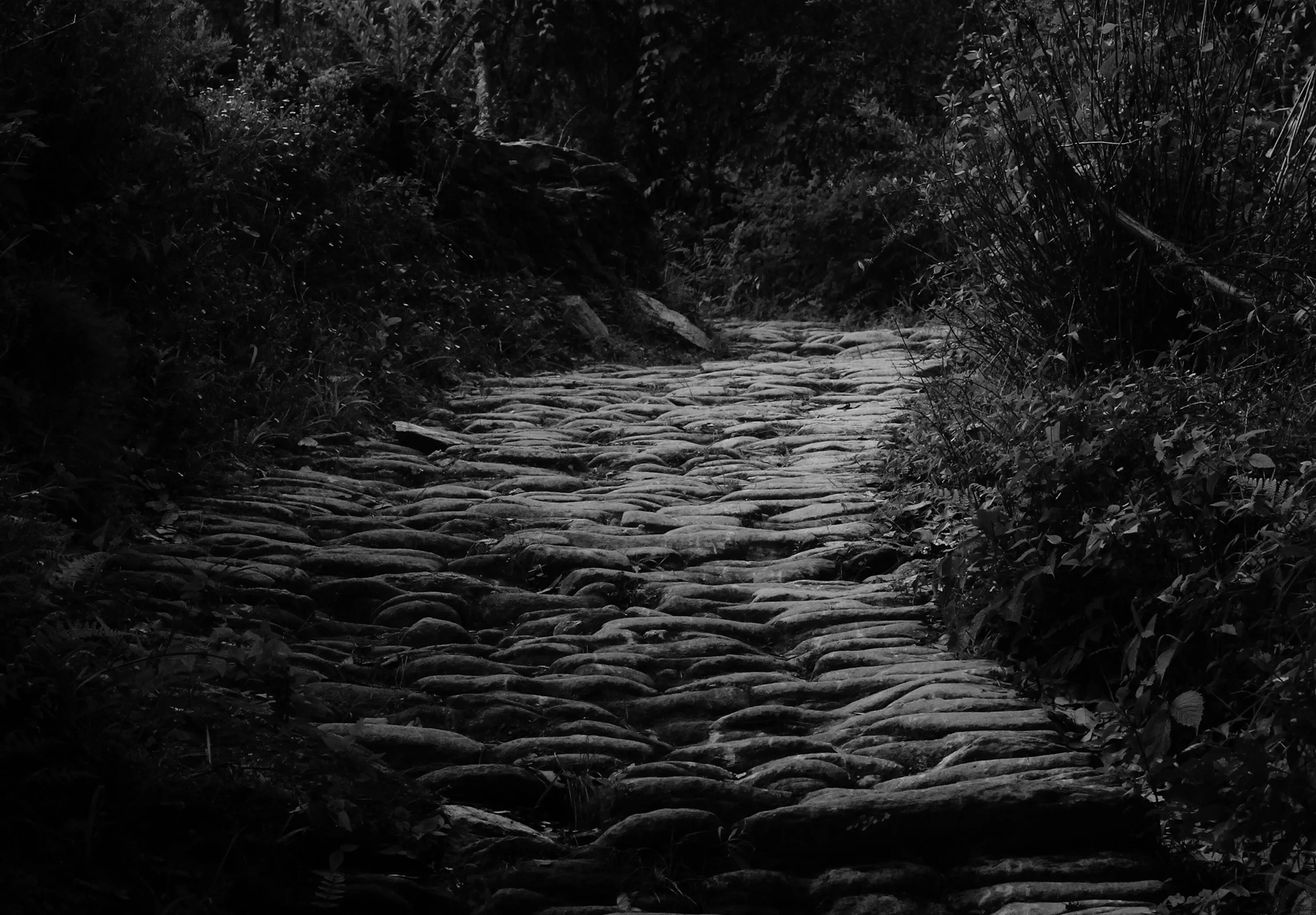 The road to Jilling.