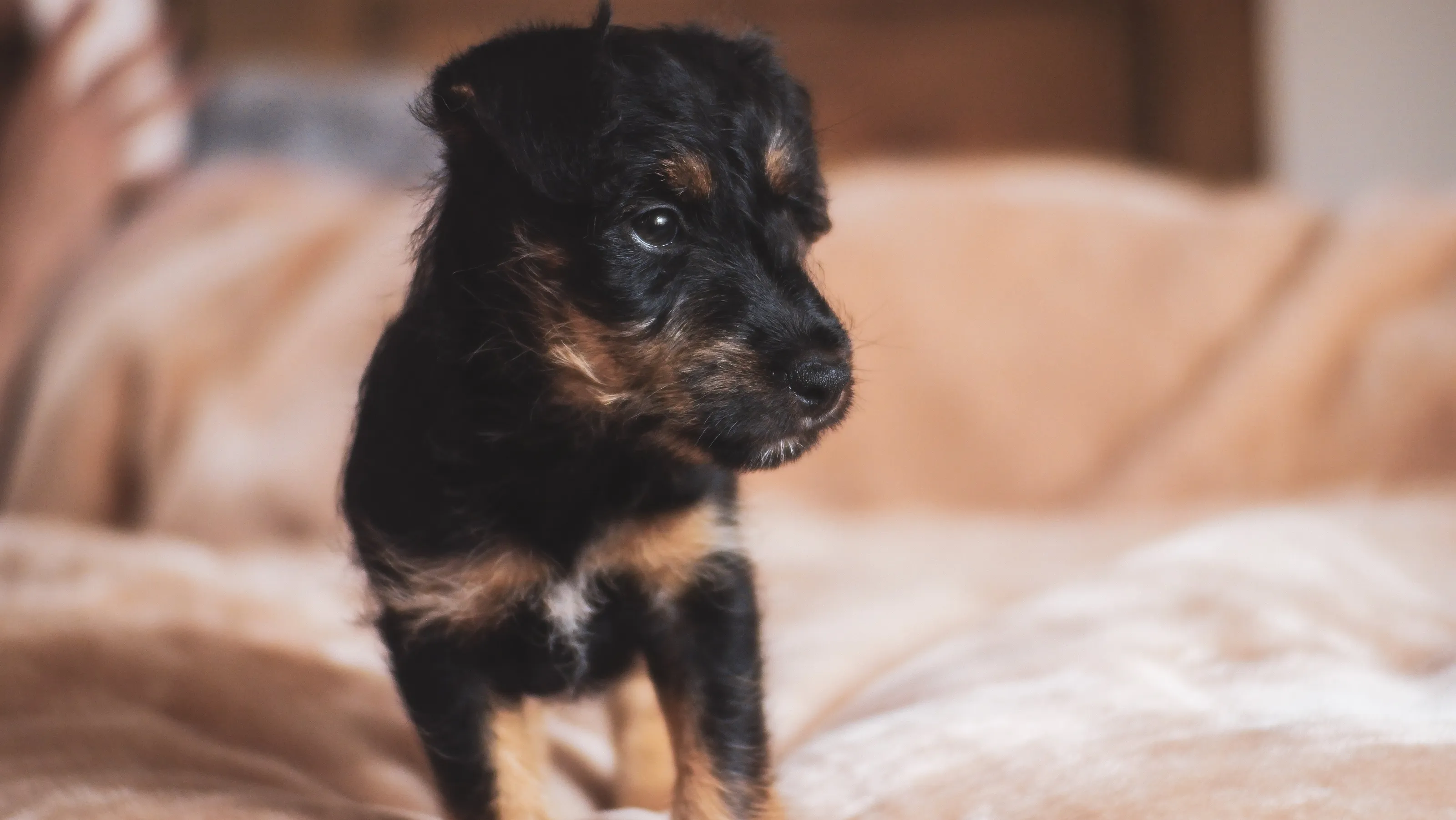 Little Winnie
