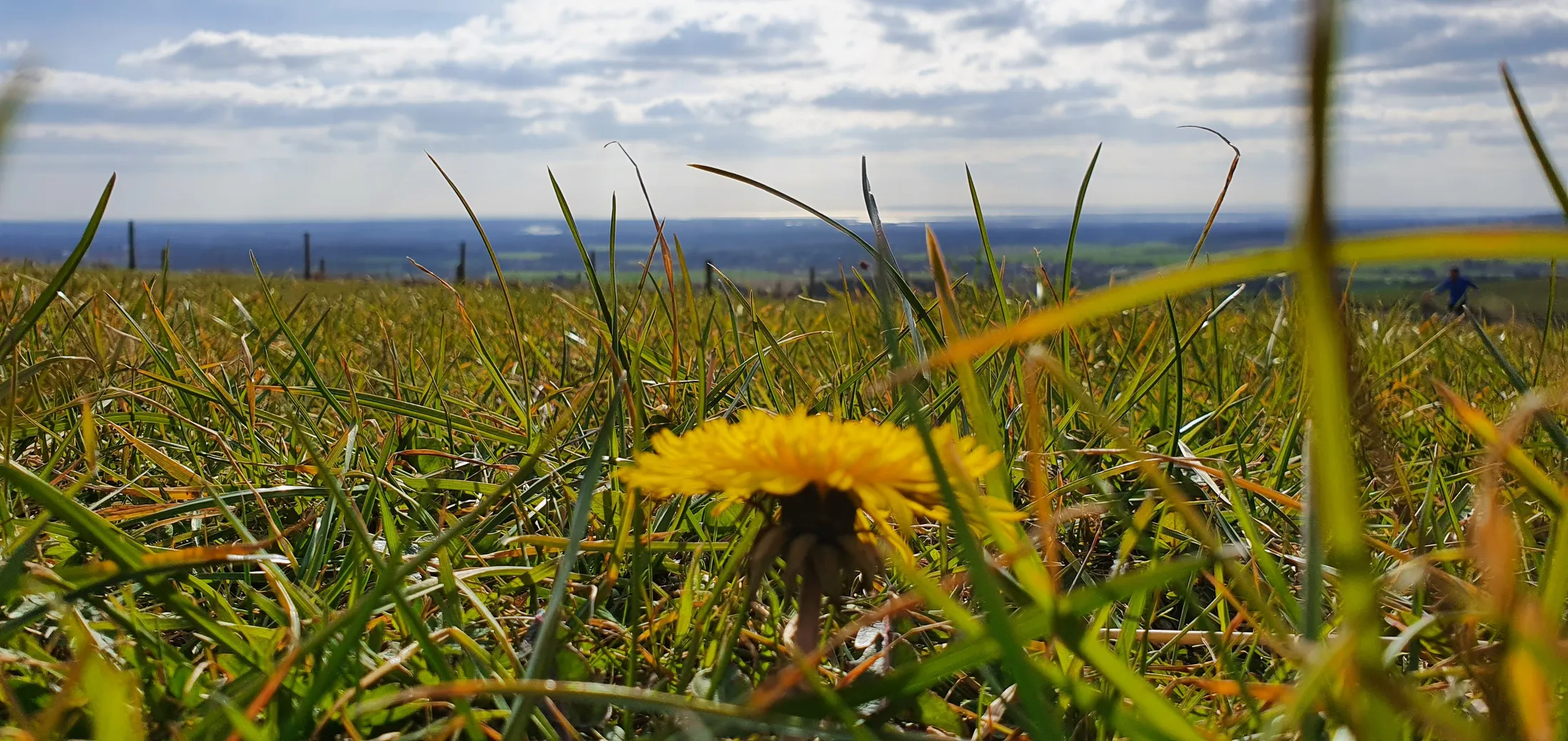 Entry 20542867