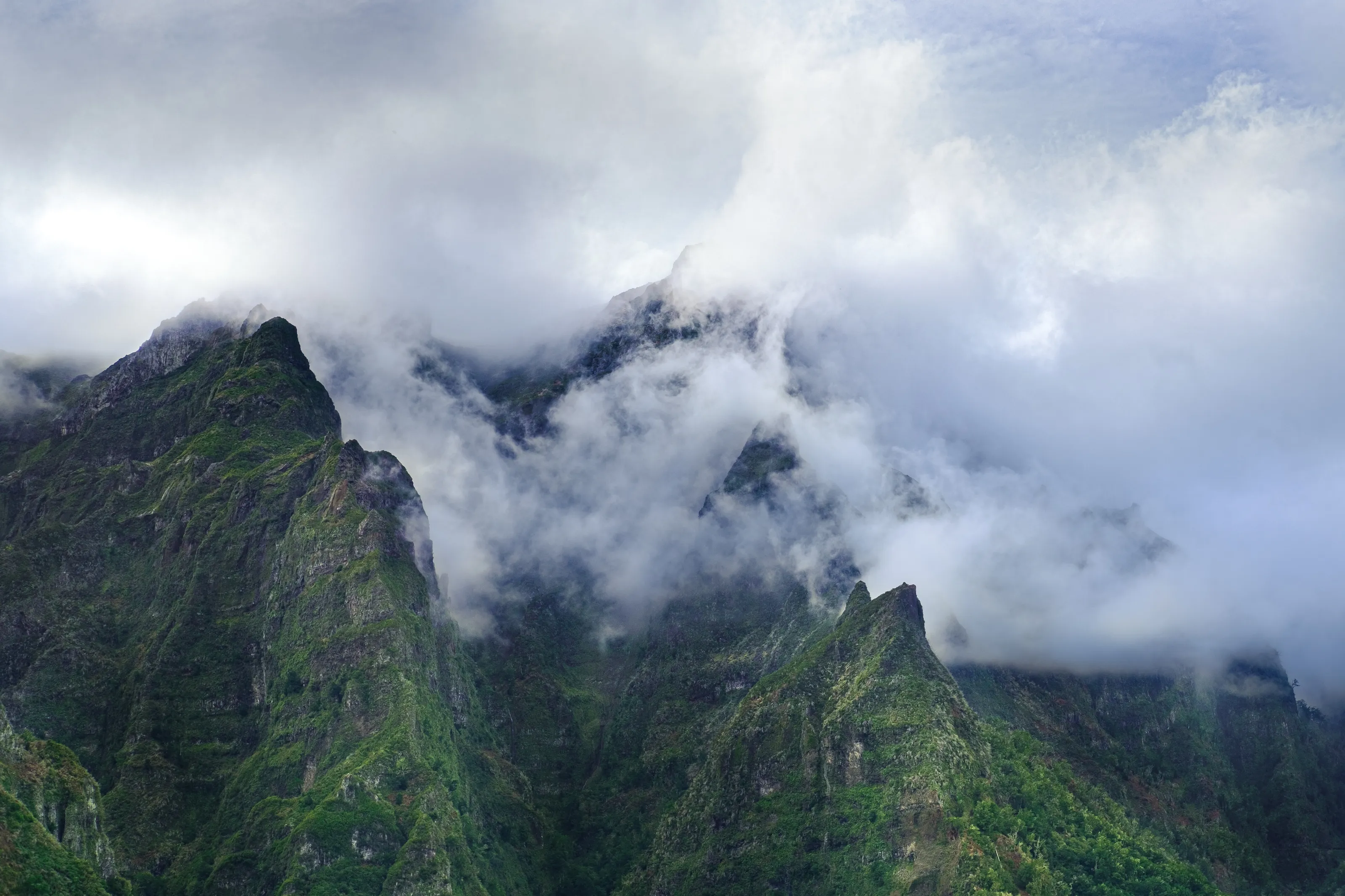 The Misty Mountains Cold