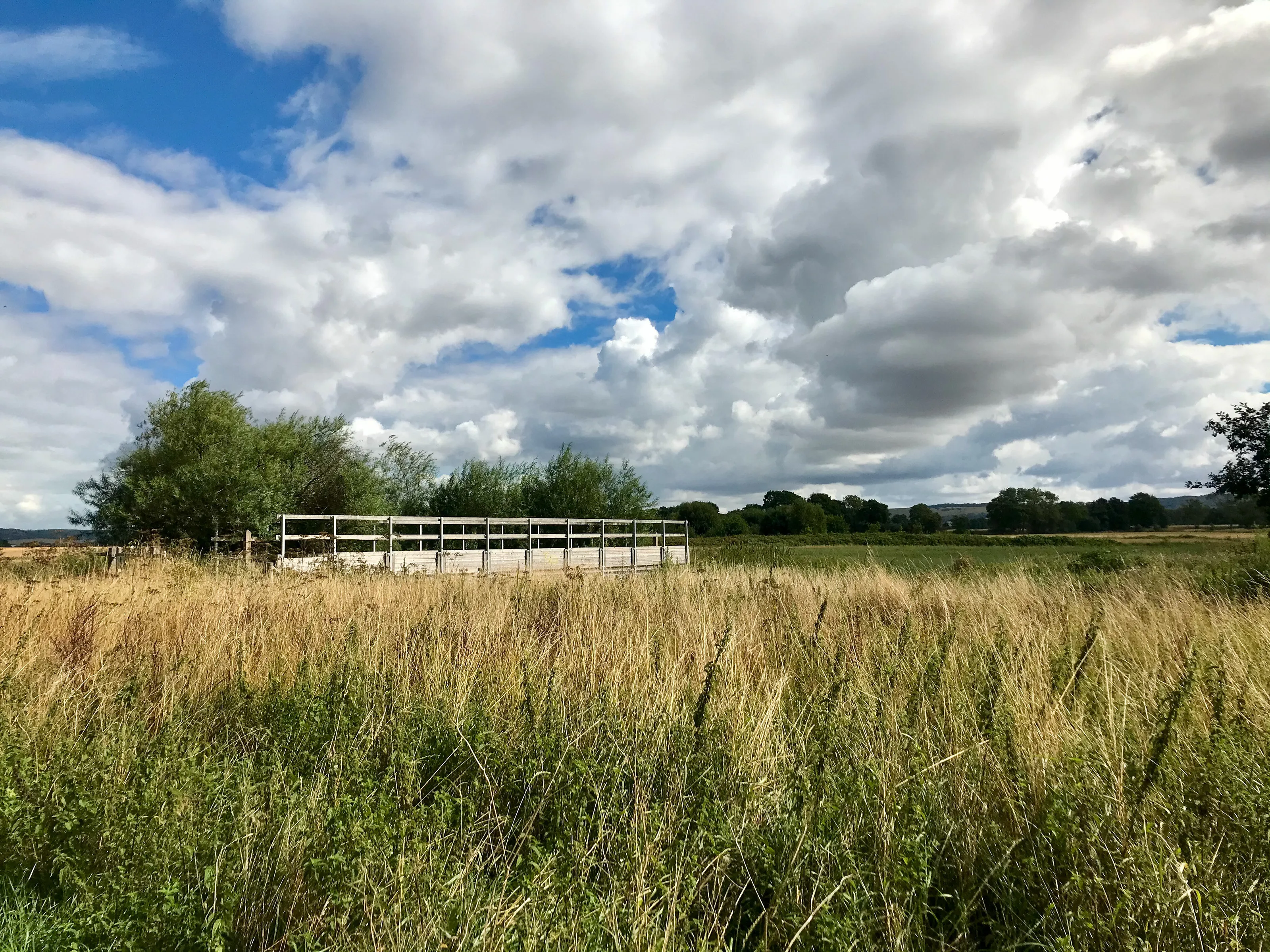 Lockdown walks around Conningbrook Lakes