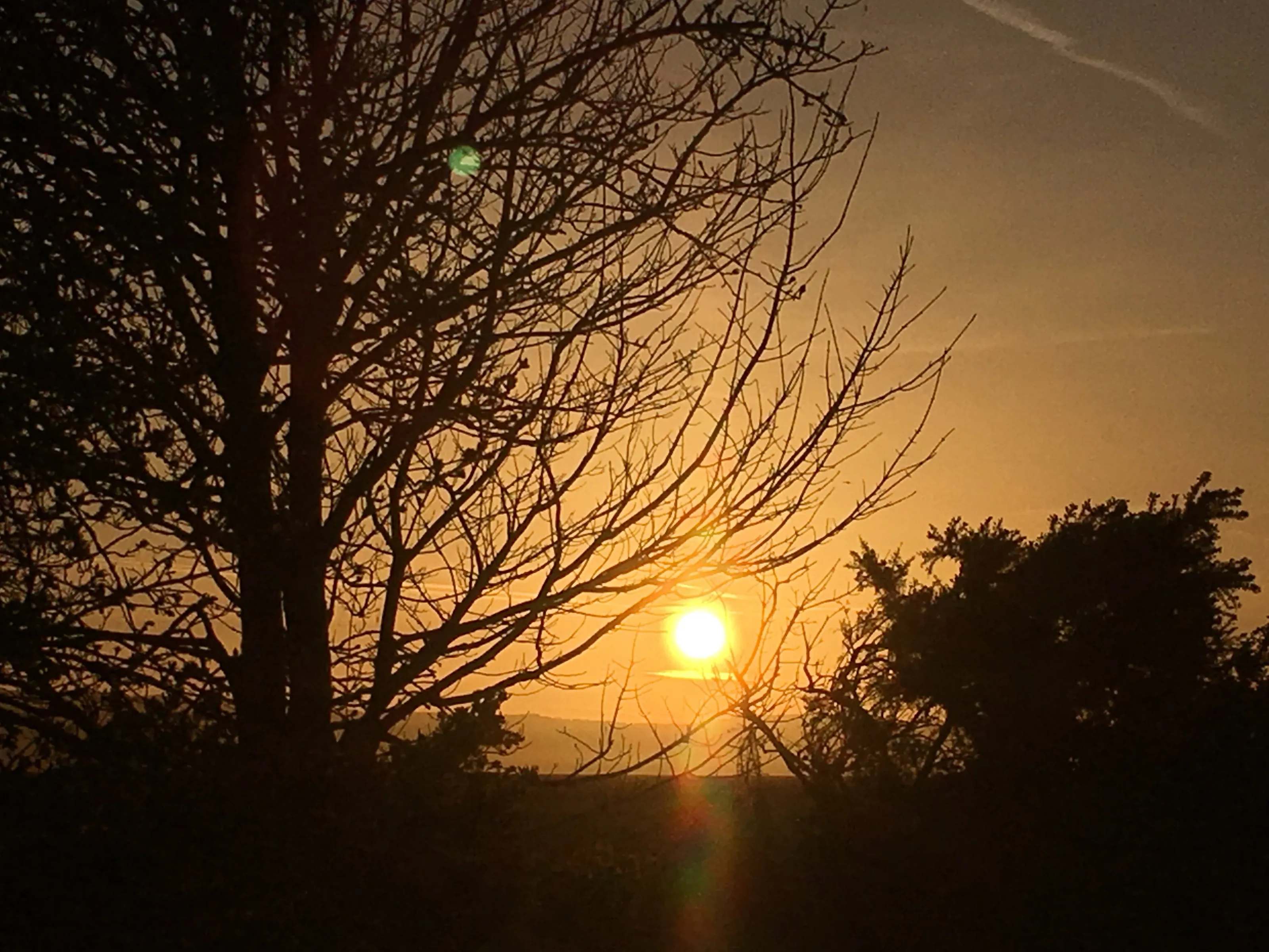 Spring sunset