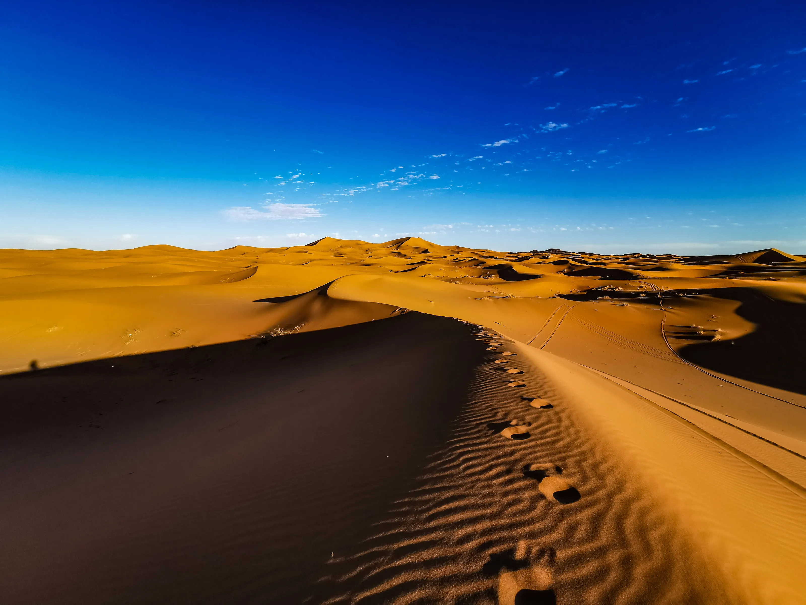 Alone in desert