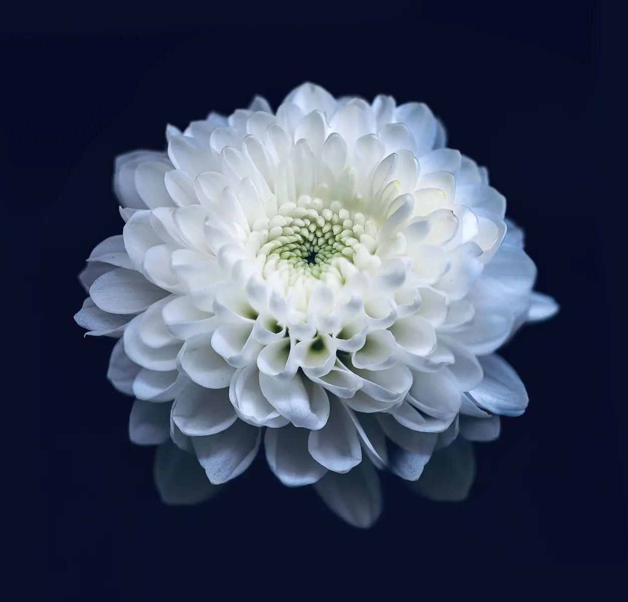 Entry 9168492
