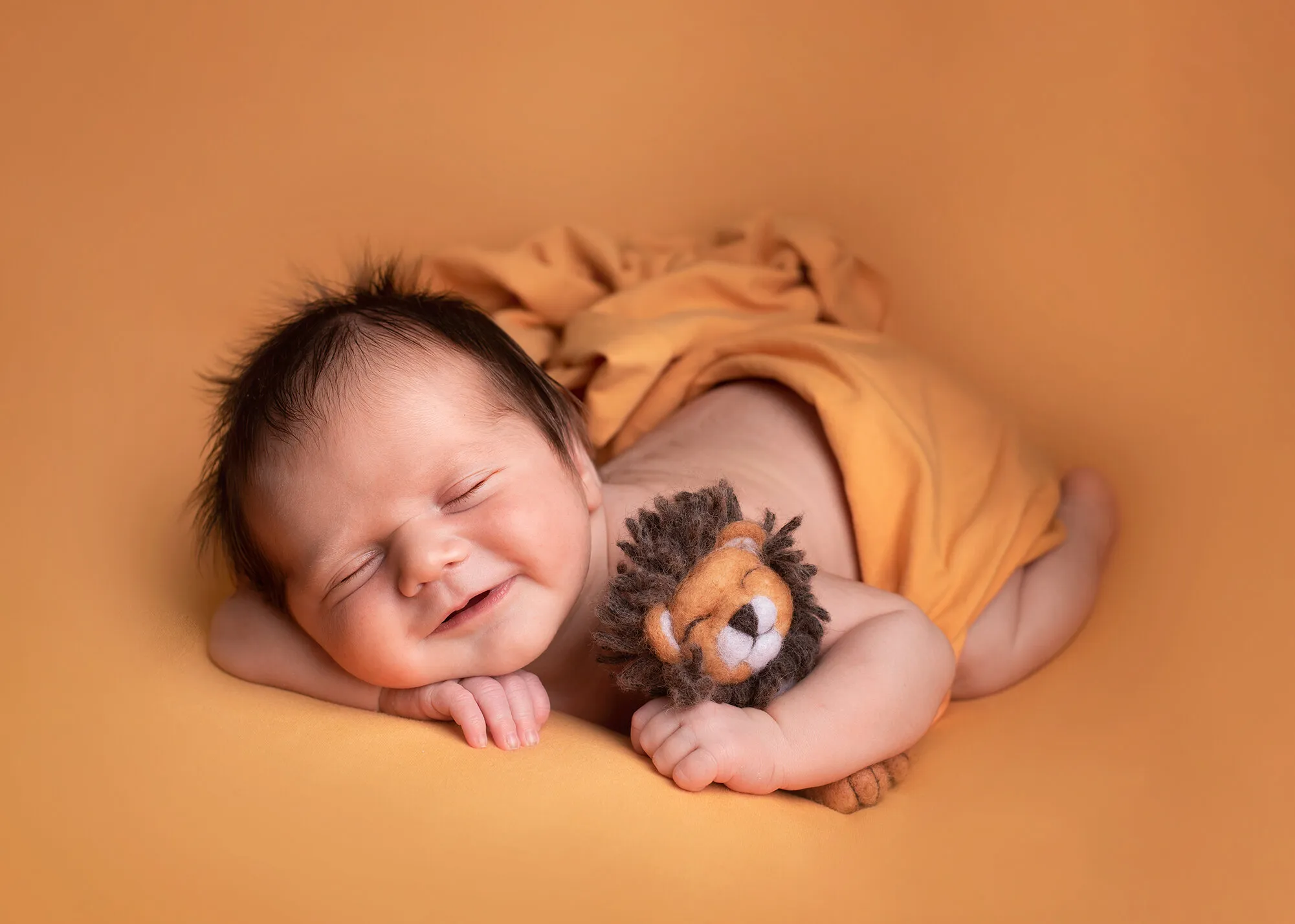 A lion sleeps in the heart of every brave man.