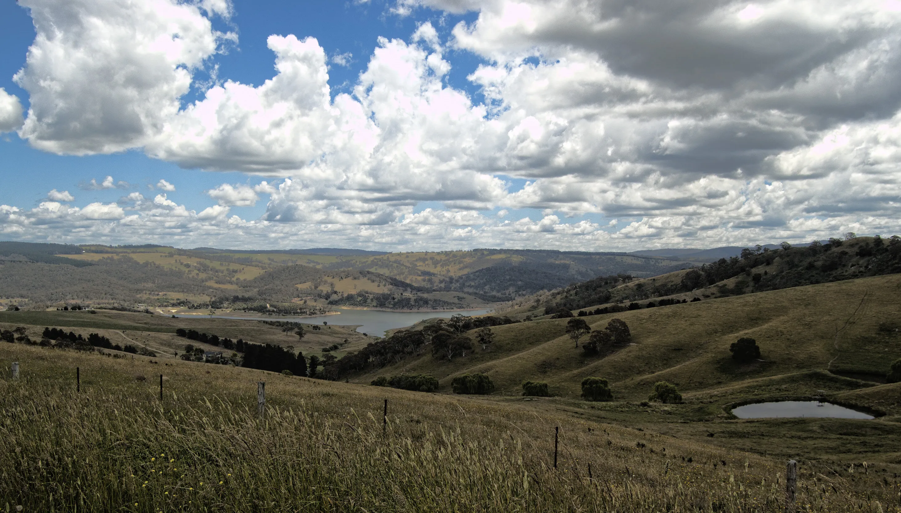NSW Landscape