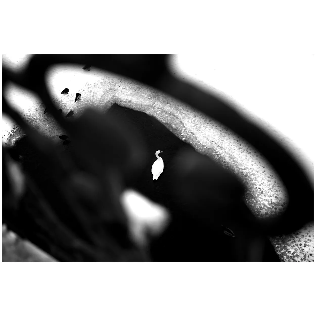 Entry 9184951