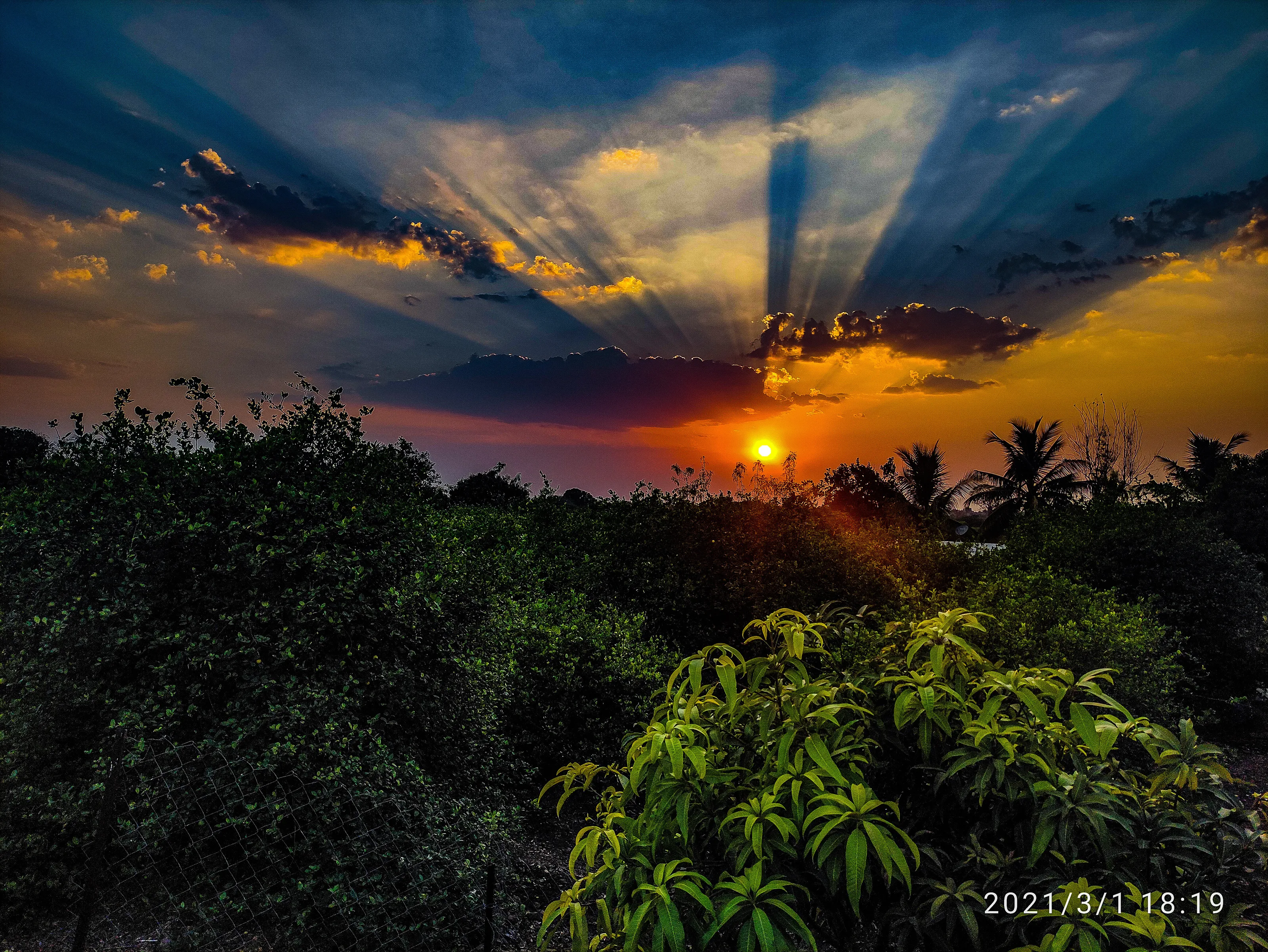 Sunset
