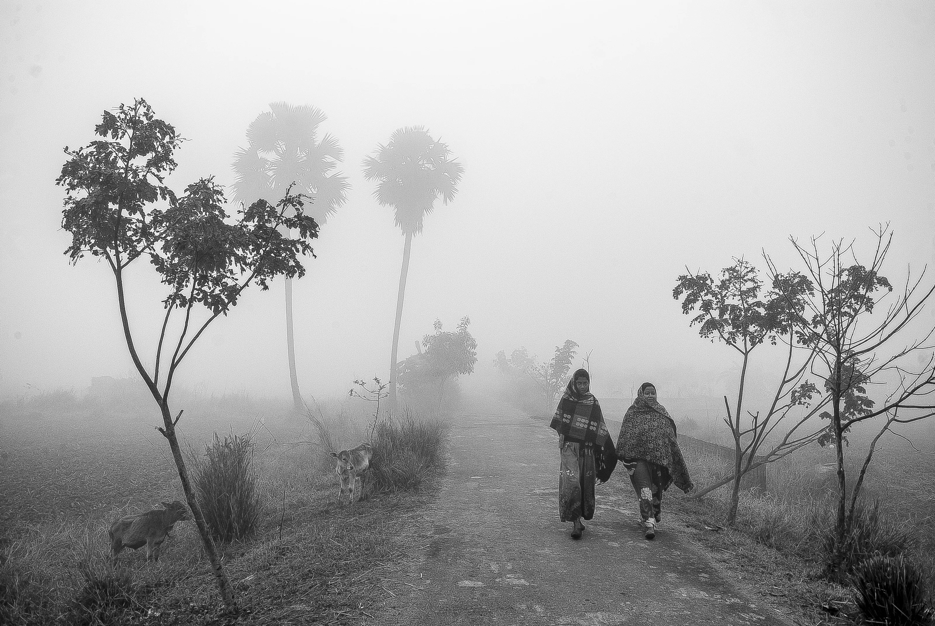 MORNING WALK