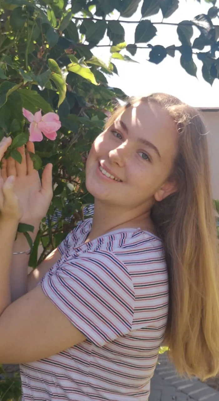 Banner image