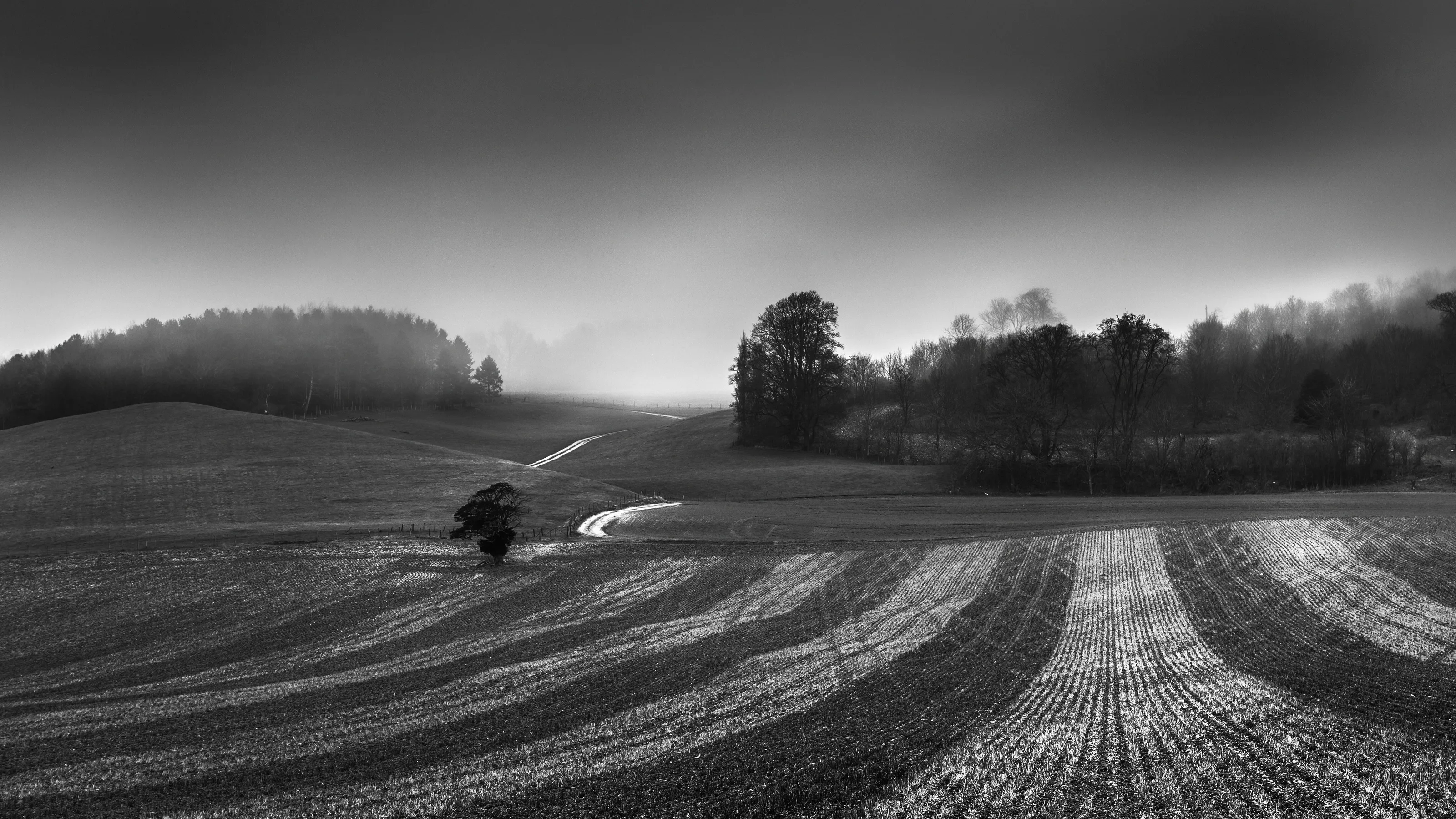 The Pilgrims' Way