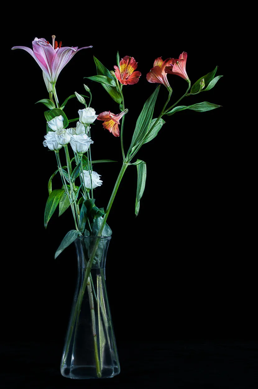 Entry 9331836