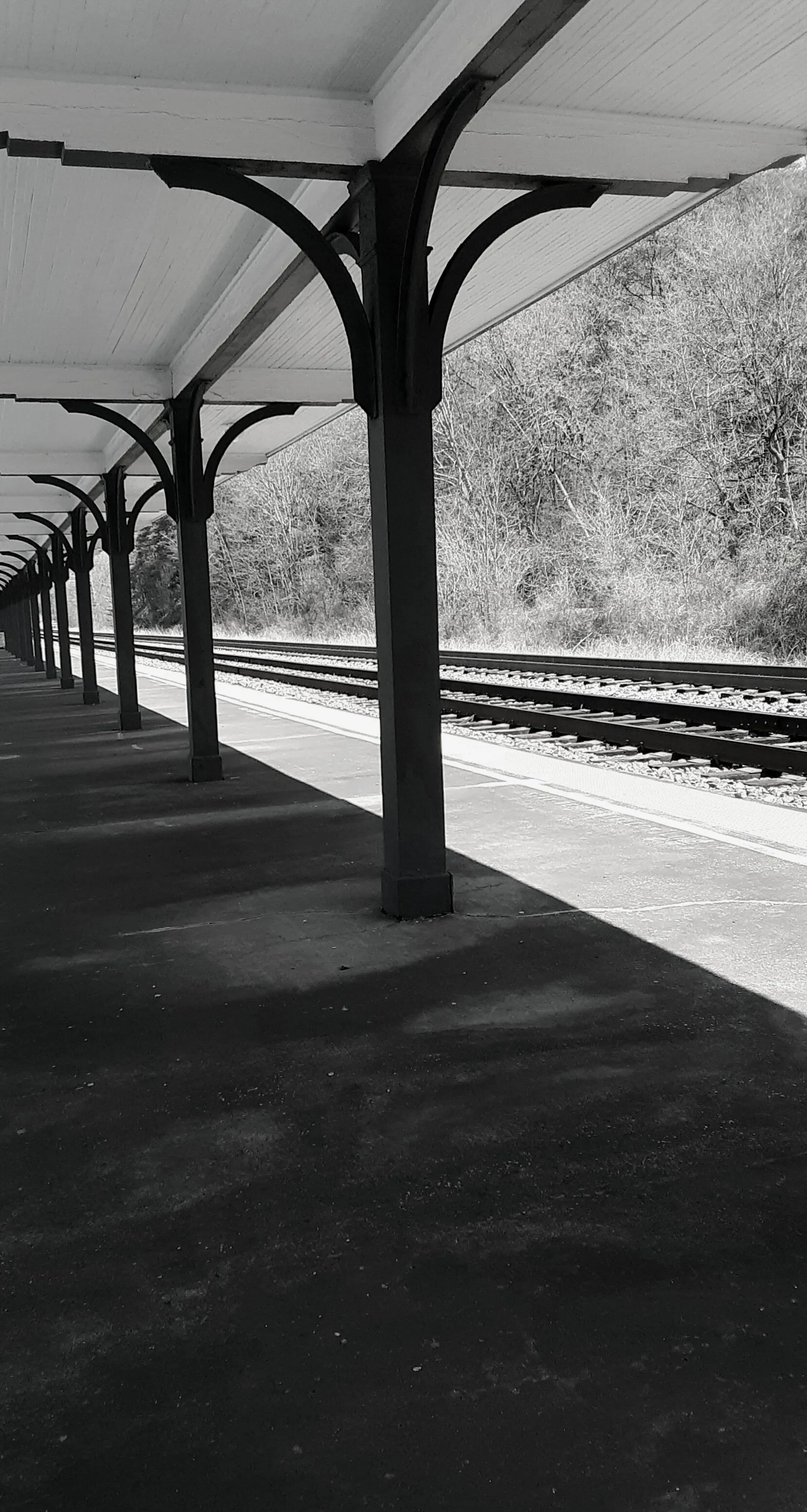 Shadow's Edge BnW
